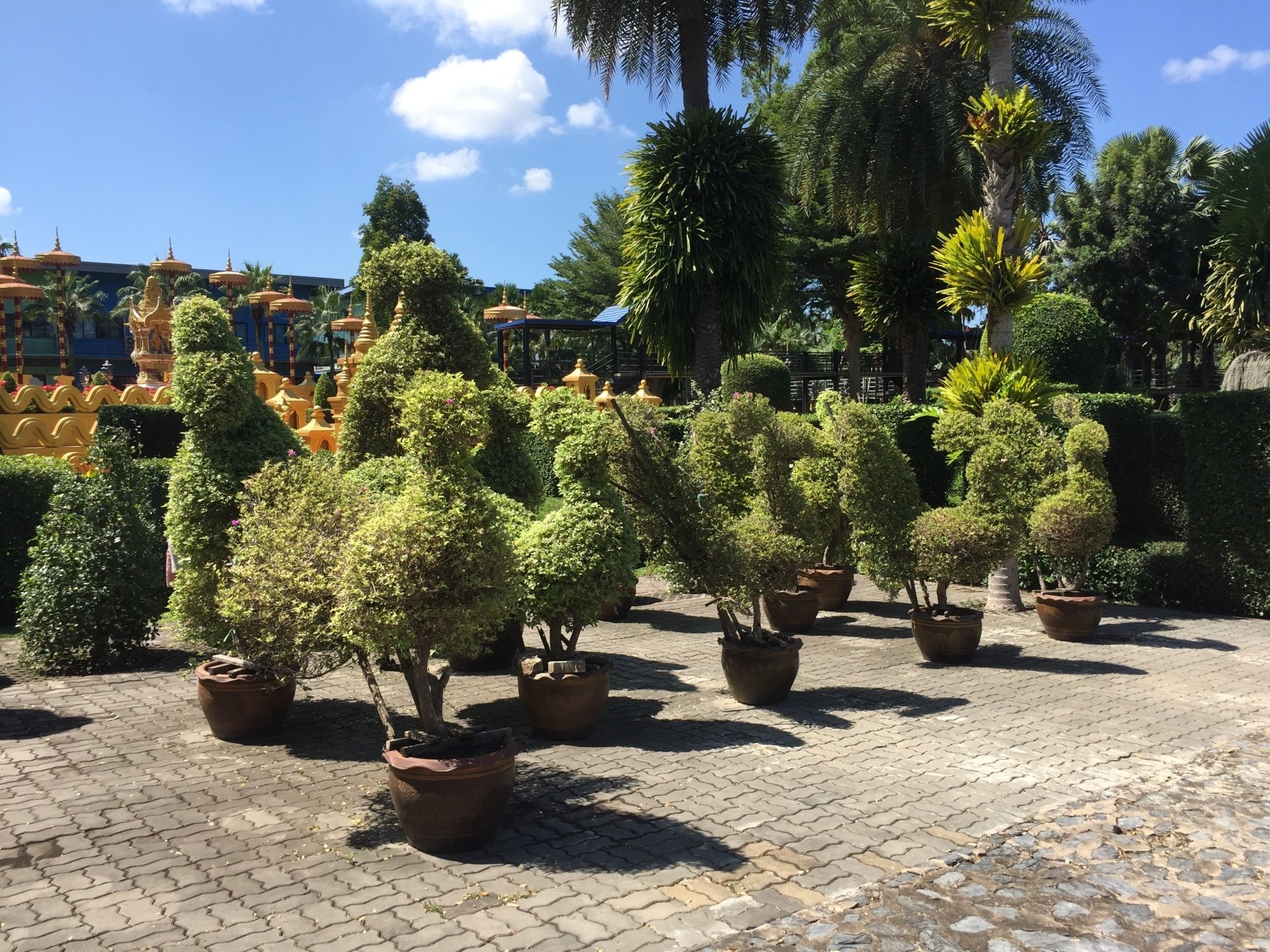 Asociación Jubilados y Pensionistas de iberCaja