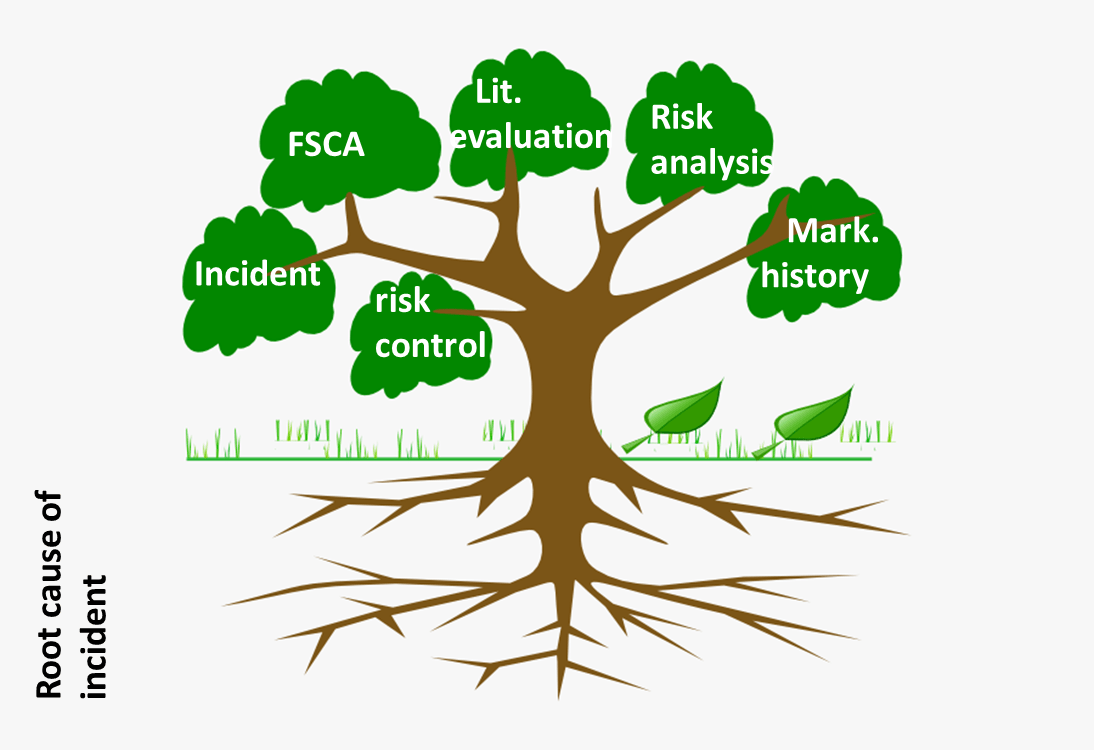 Periodic Risk Analysis Periodic Risk Evaluation Report in China