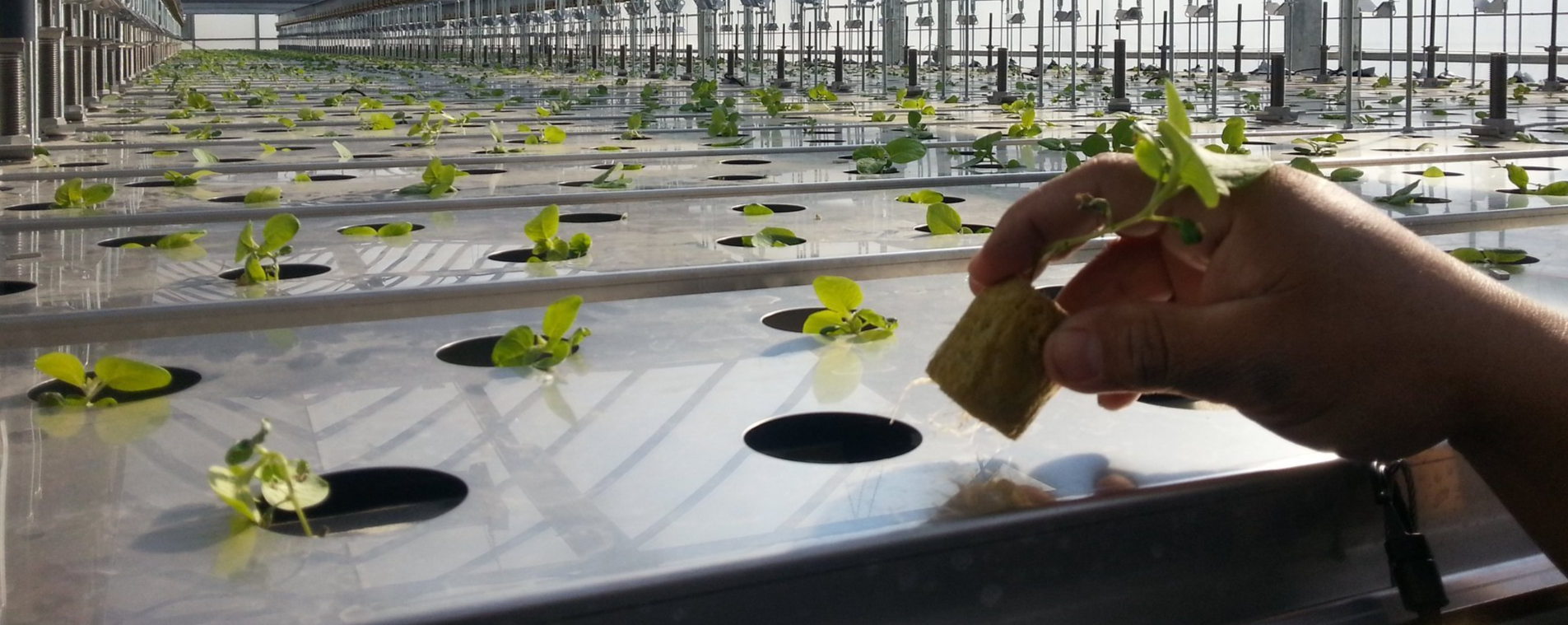 HighPressure Aeroponics