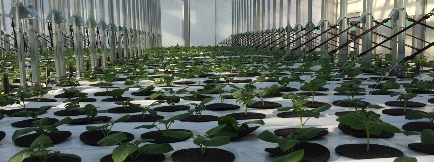 HighPressure Aeroponics