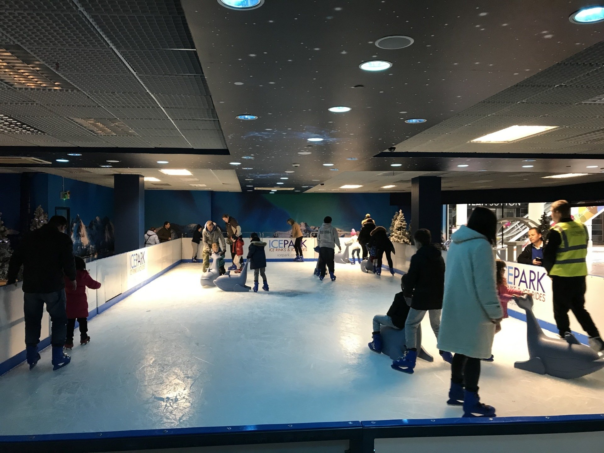 Ice Park Ltd Ice Rinks
