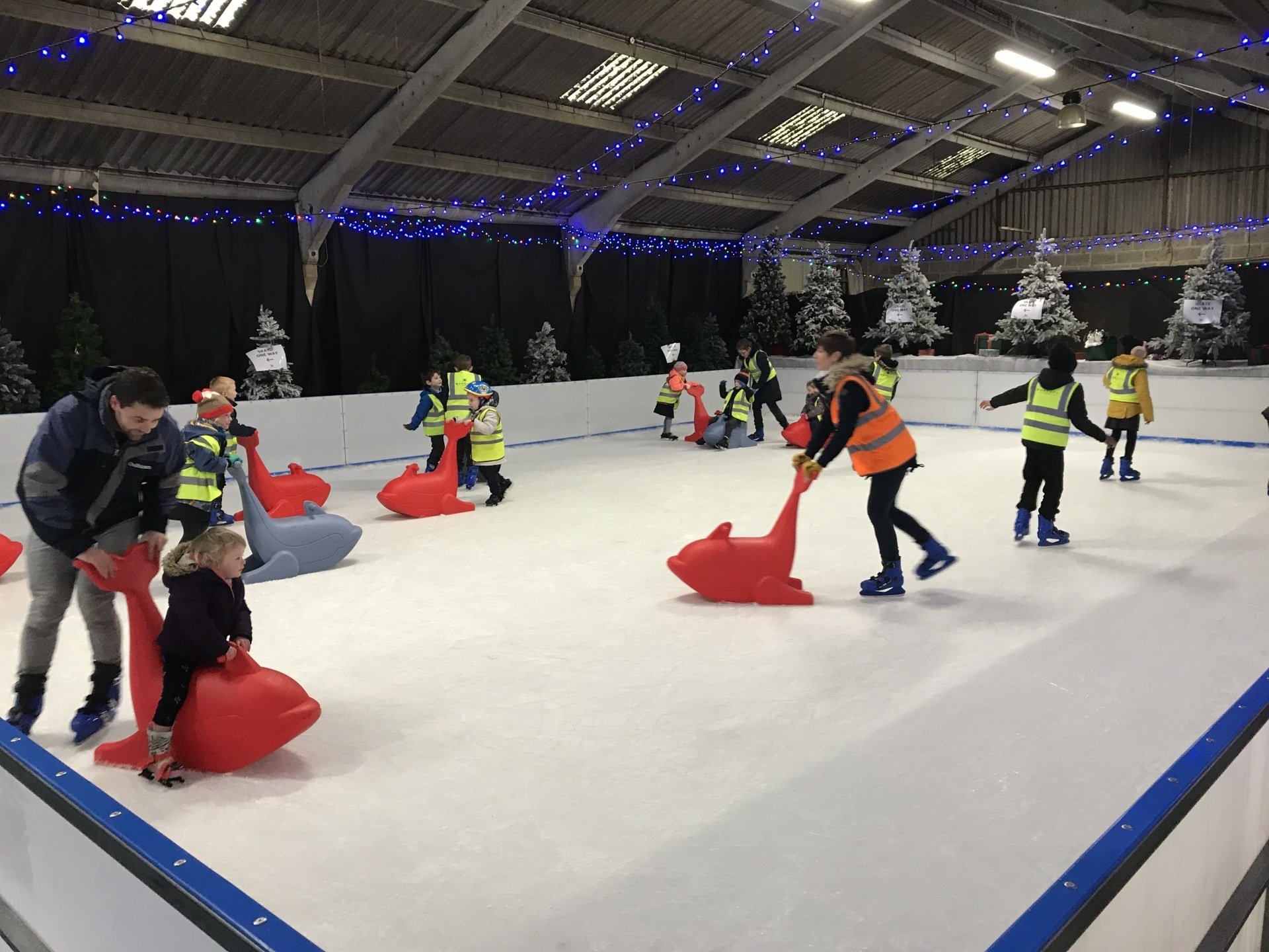 Ice Park Ltd Ice Rinks