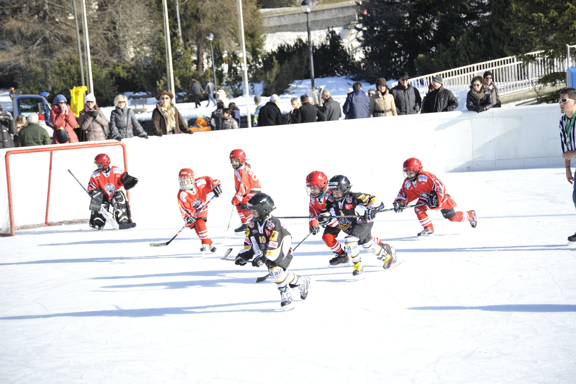 Ice Hockey & Curling Rinks