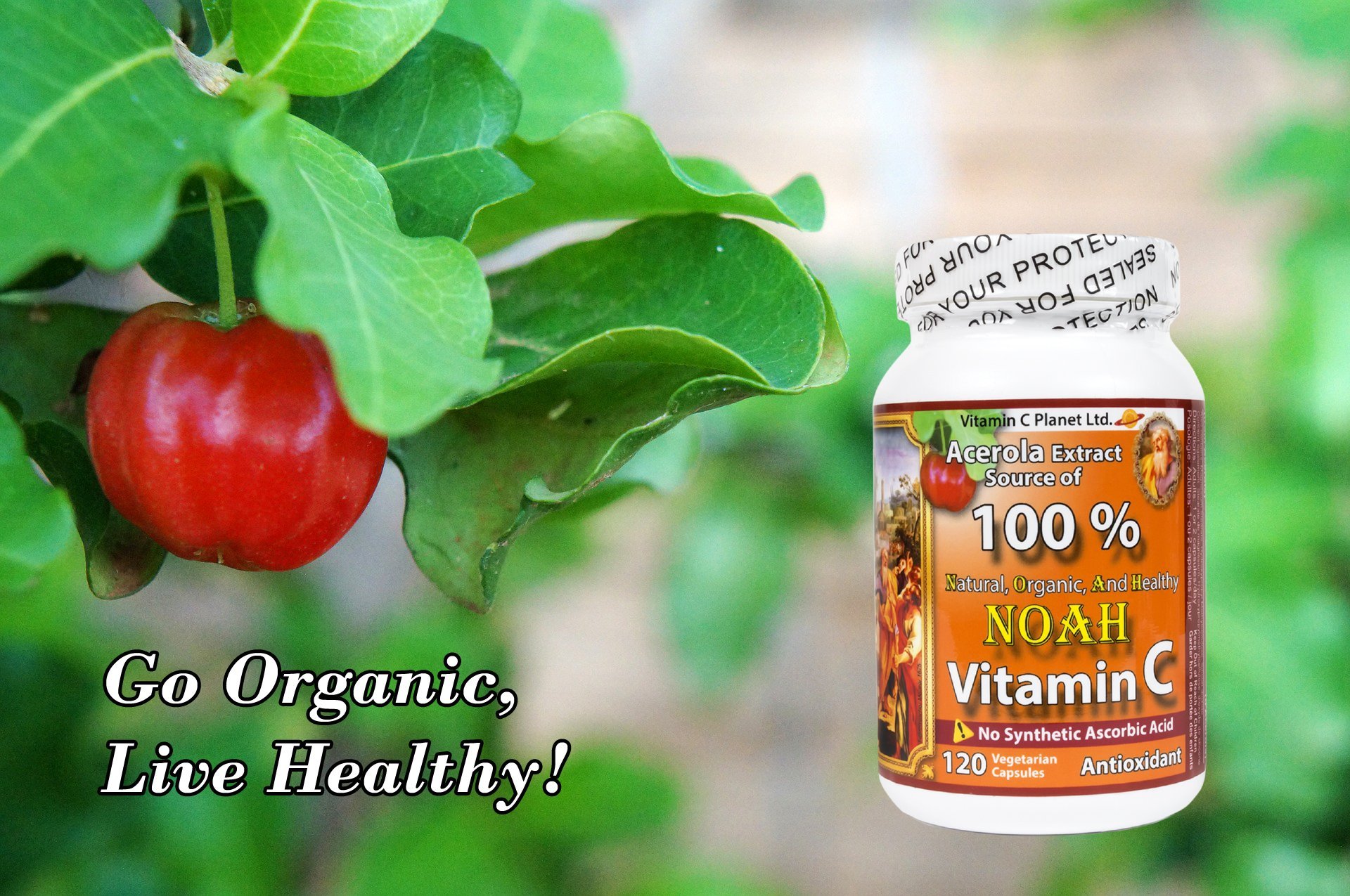 Best Natural and Organic Vitamin C Supplement