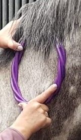 Arthrose Halswirbelsäule