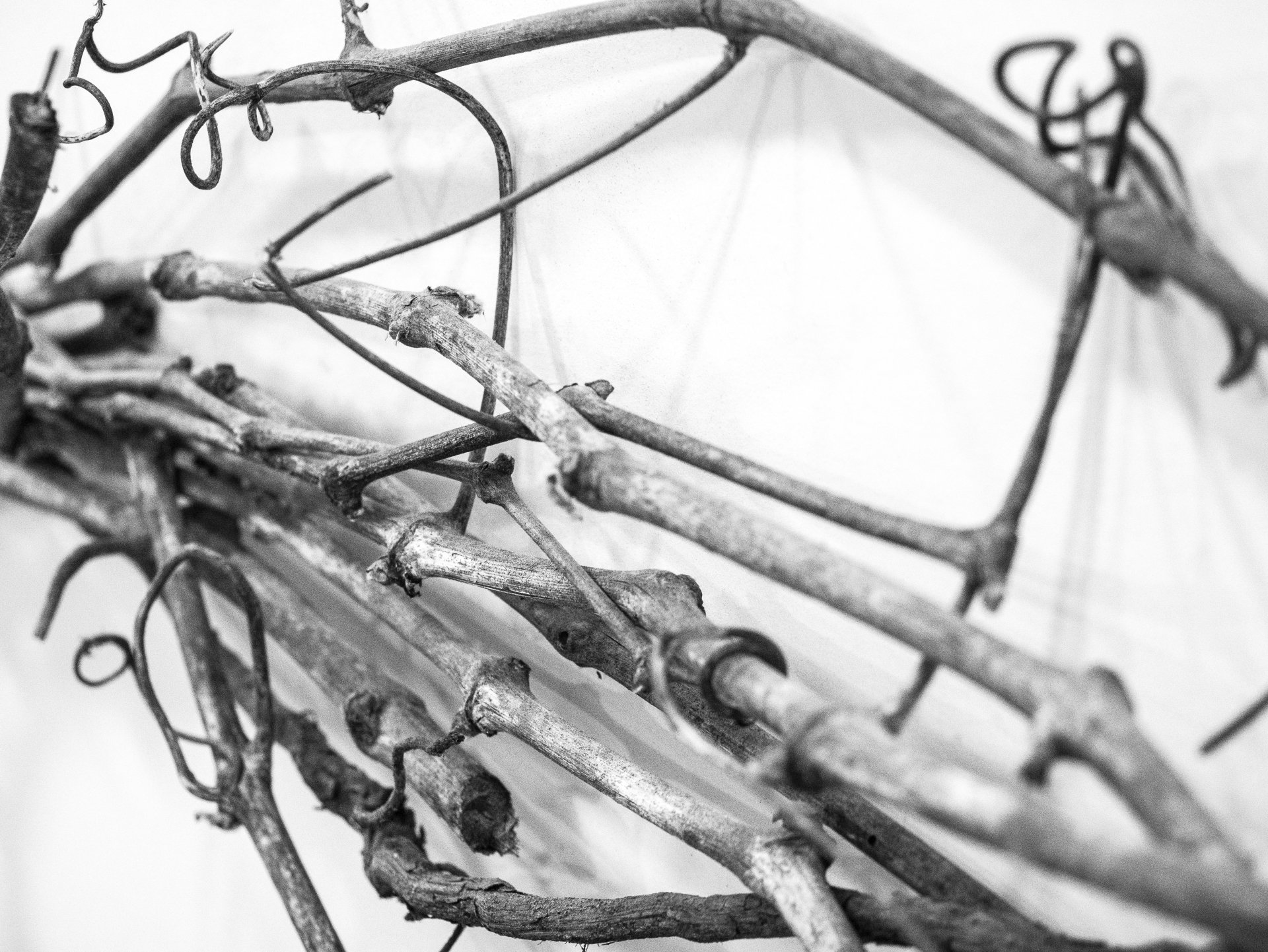 Spanish Palate Home Page