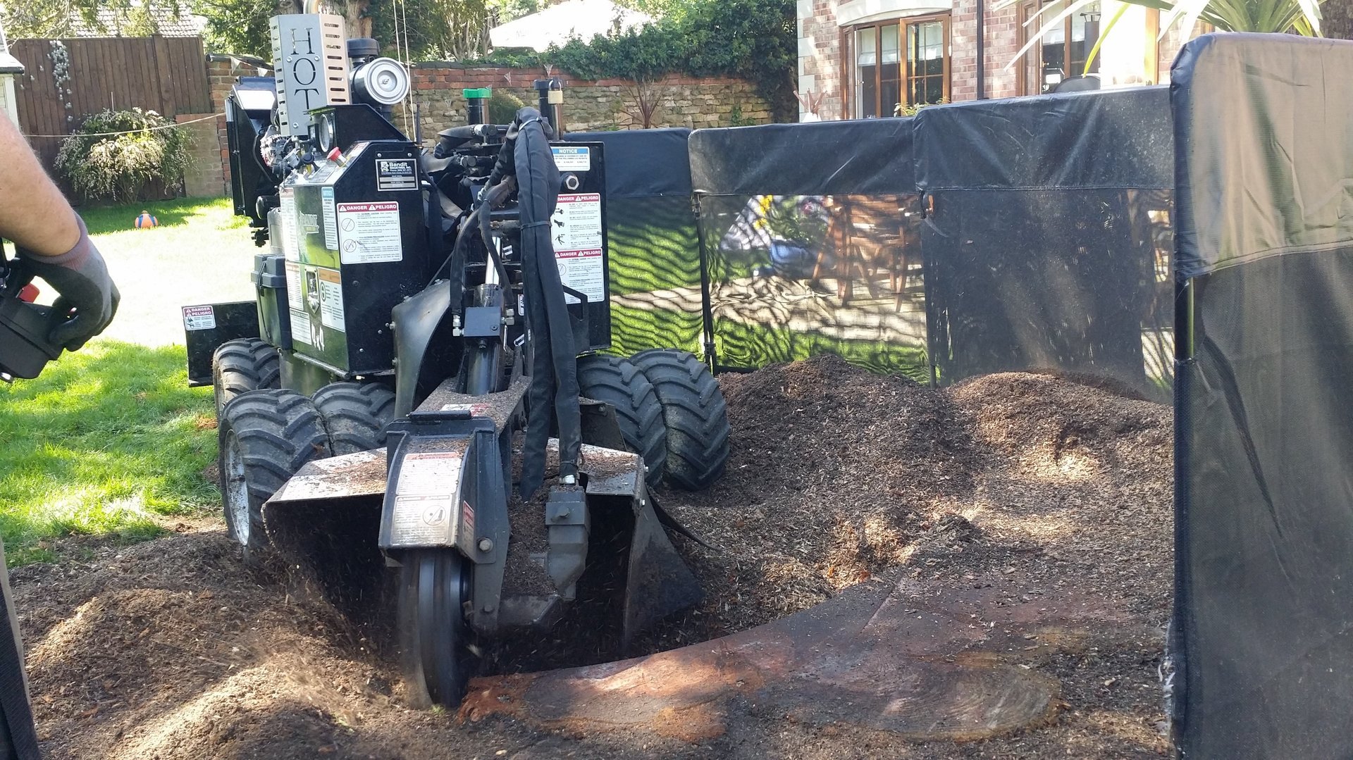 Stump Beaver Professional Stump Grinding