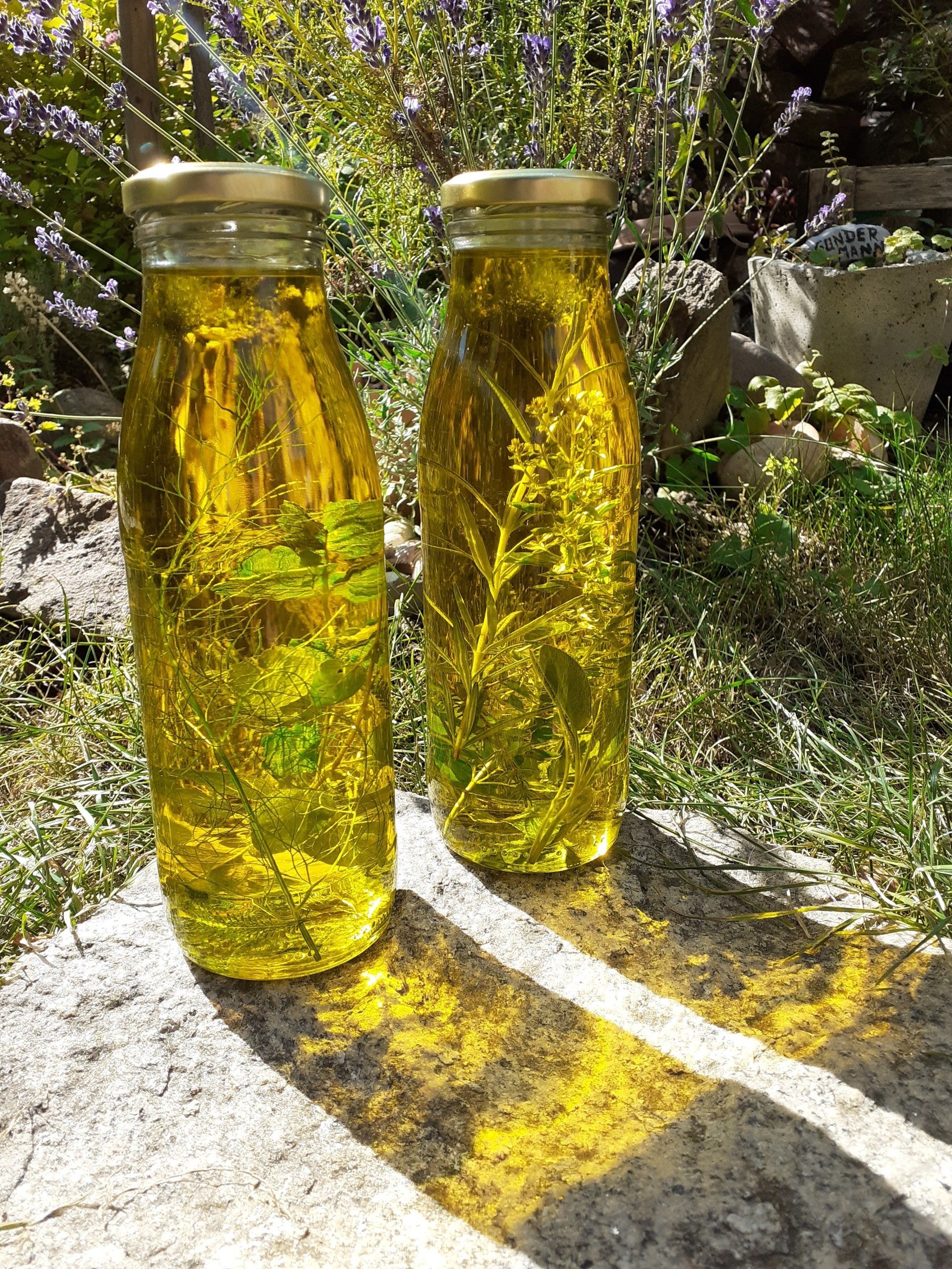 kräuter-garten-kreativ