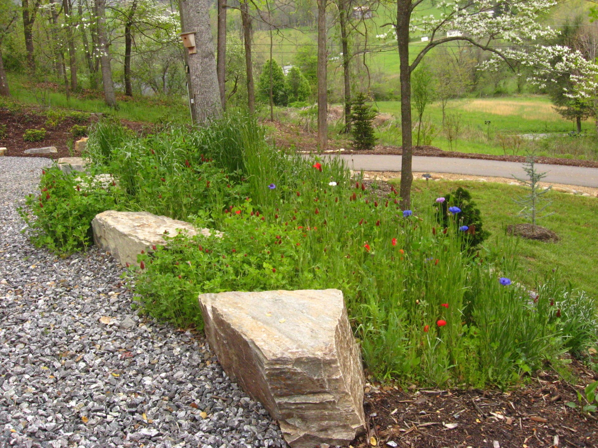Asheville Landscaping Photo Galleries of Our Work