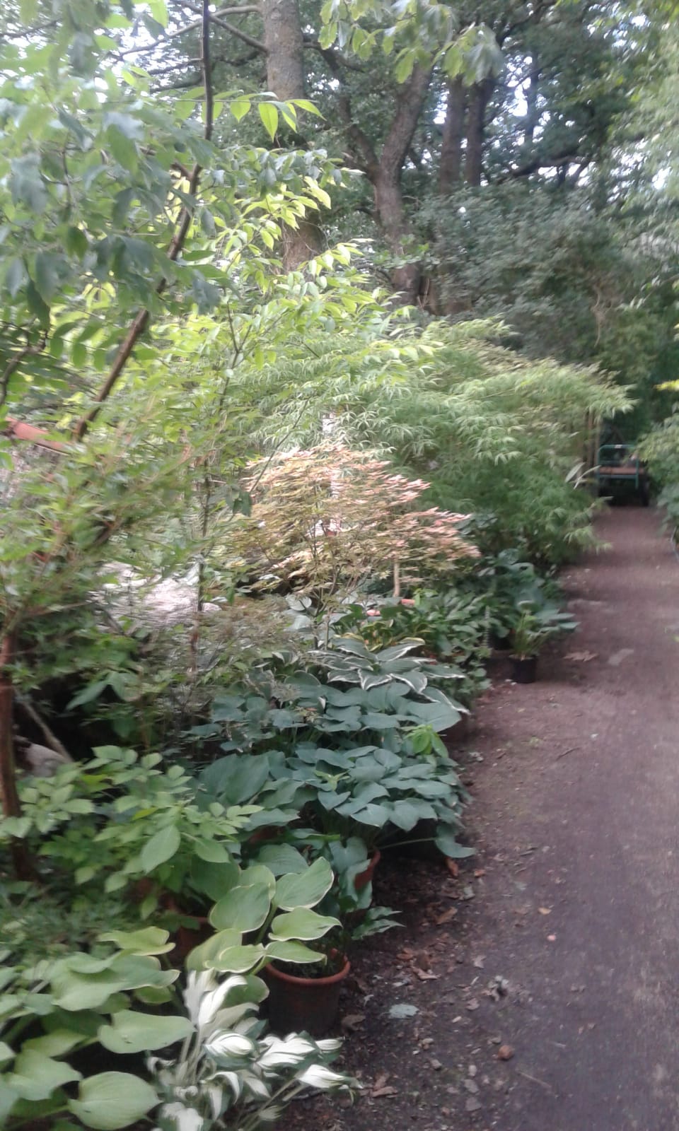 Kaubisch Gärten Gärtner, Gartenbau, Gartenarbeit, Gartenpflege