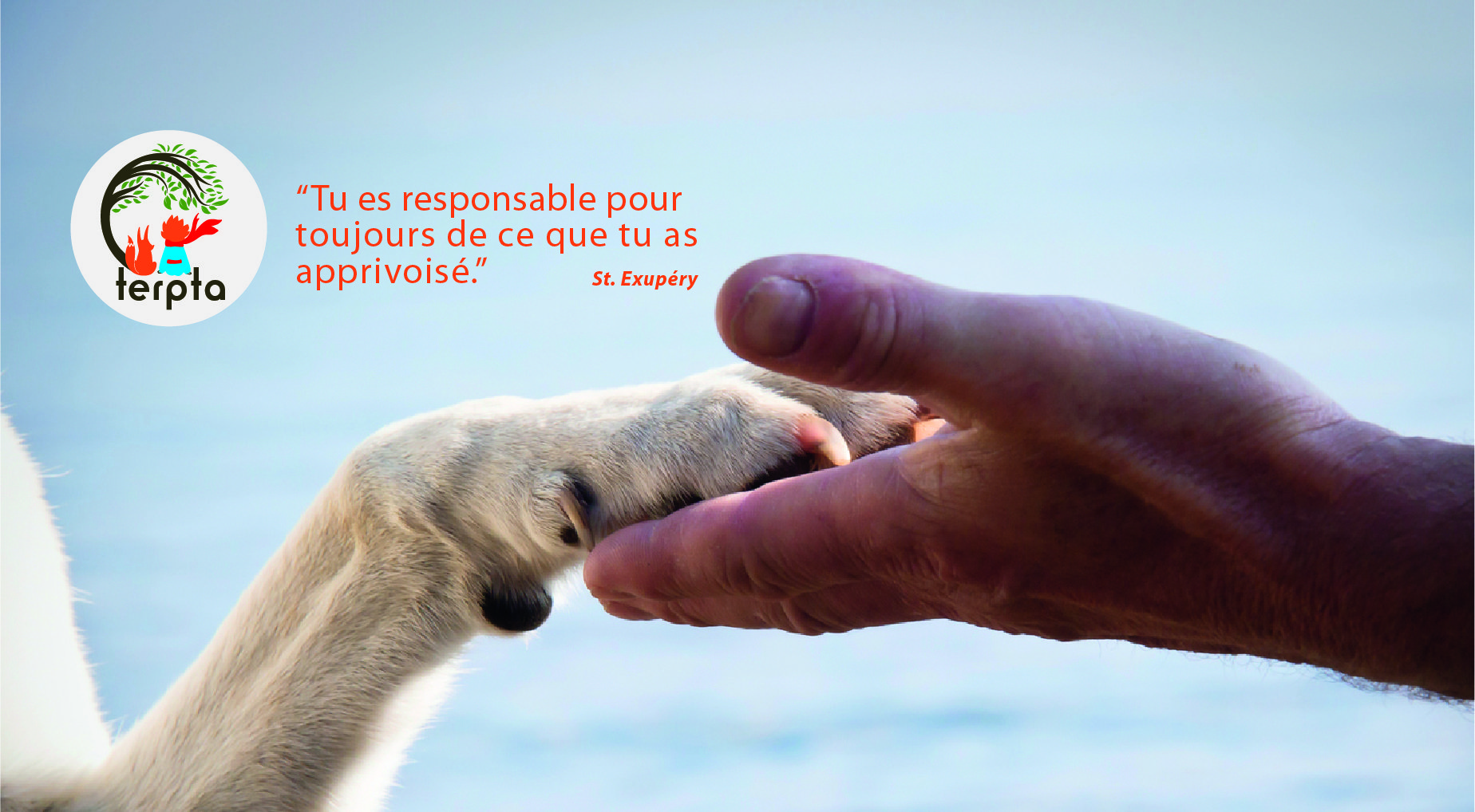 Autres Activités De Soutien Aux Entreprises Nca Definition