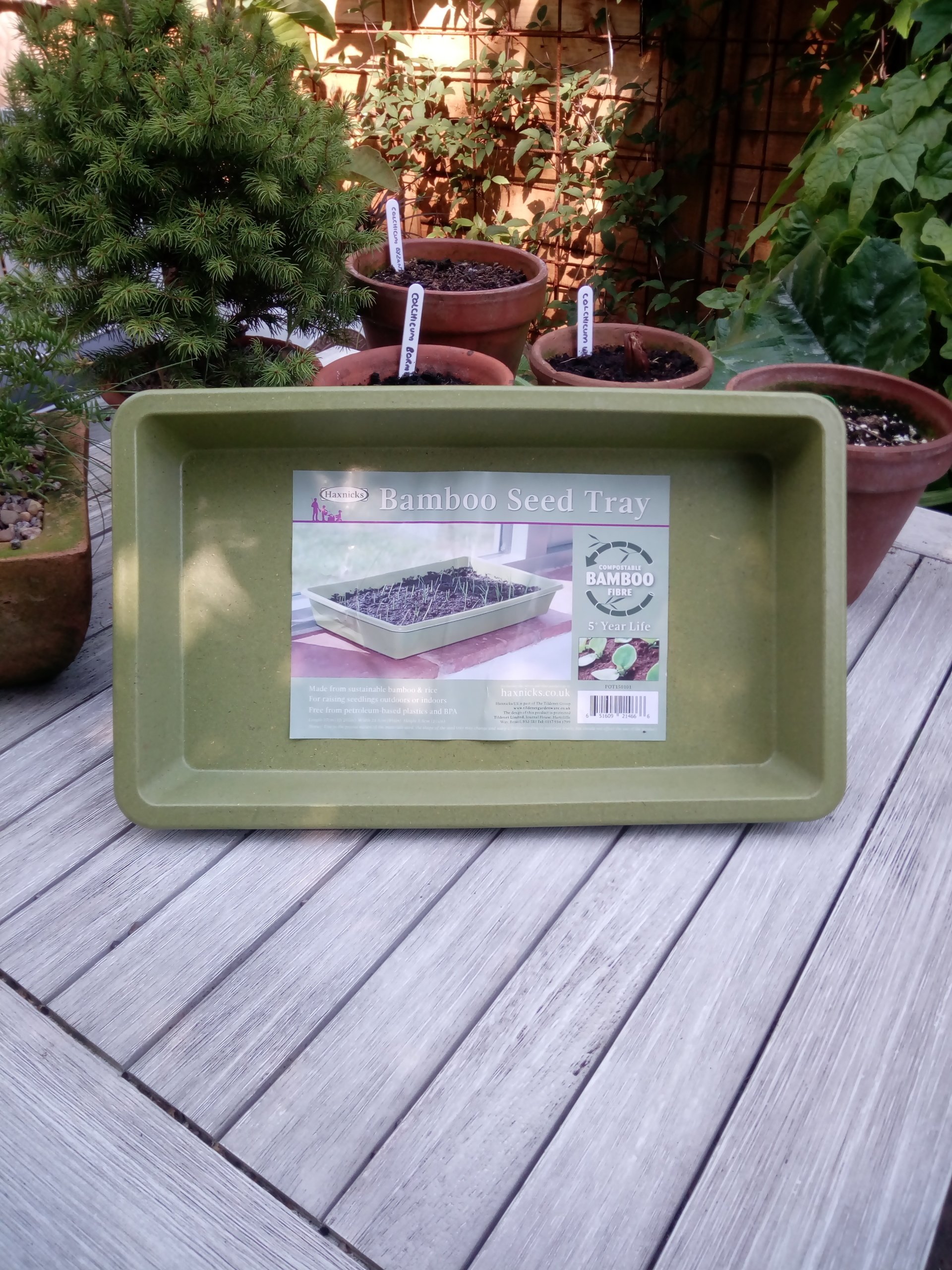 Bamboo Pots An Alternative to Plastic?