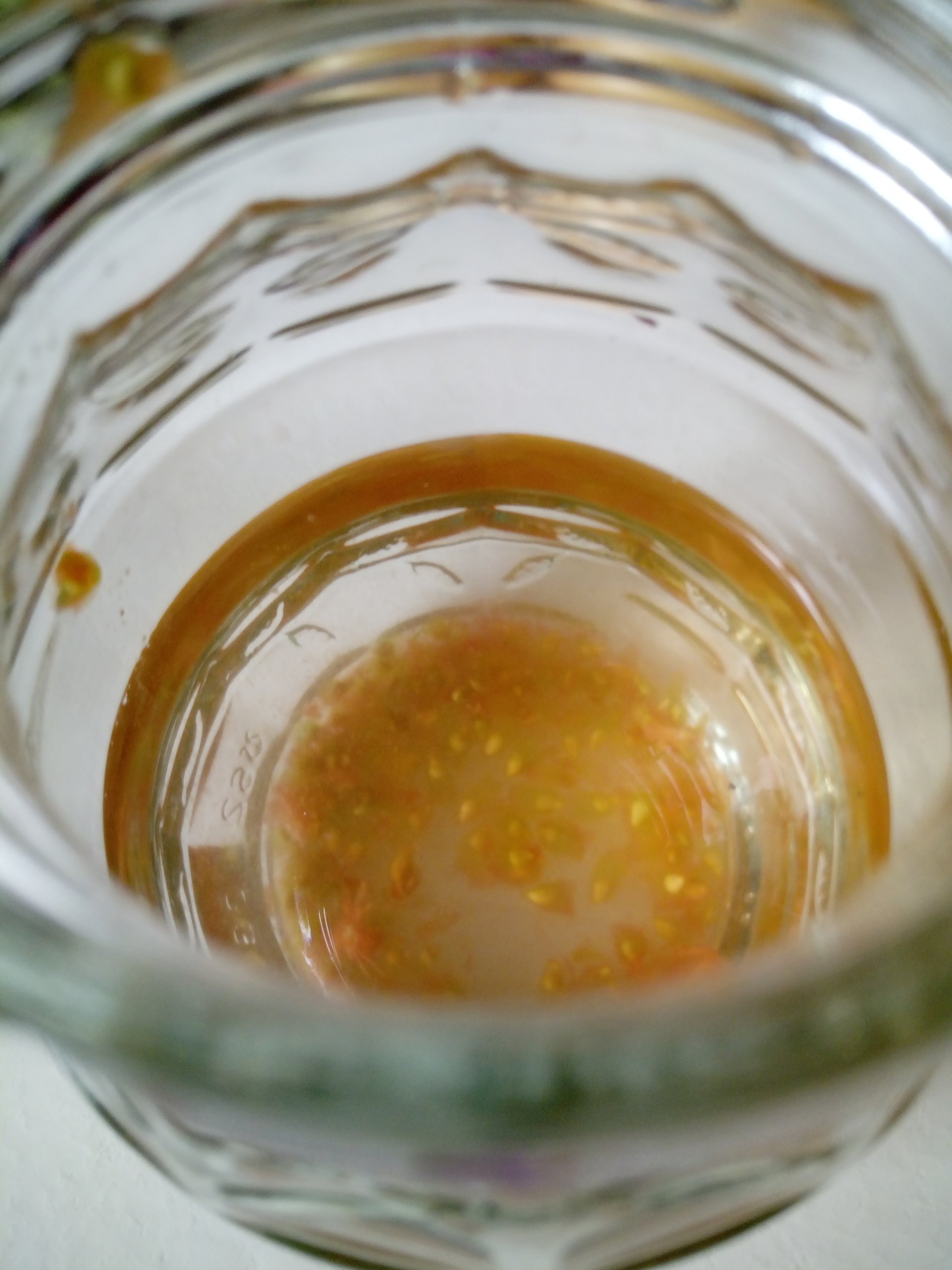 How to Save Tomato Seed The Fermentation Method