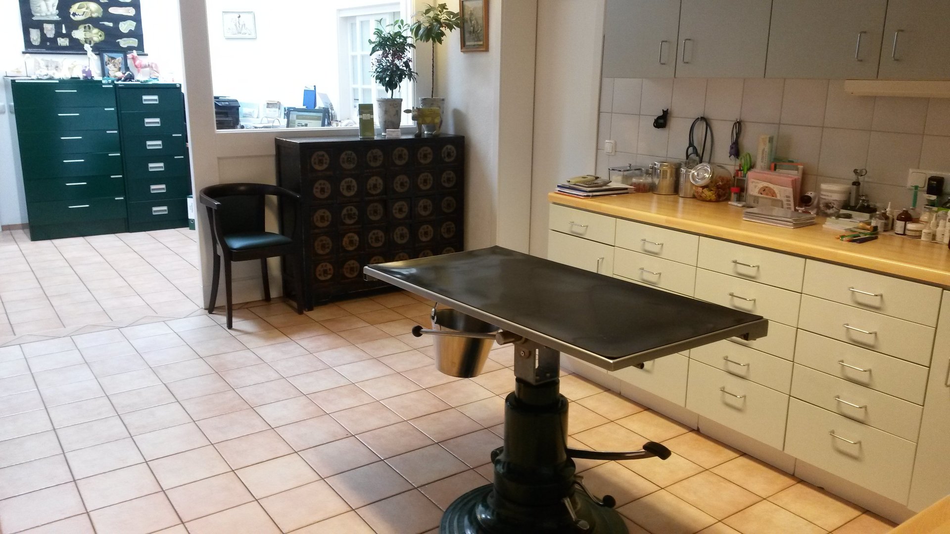 Tierärztliche Praxis für Kleintiere Kim Übermuth