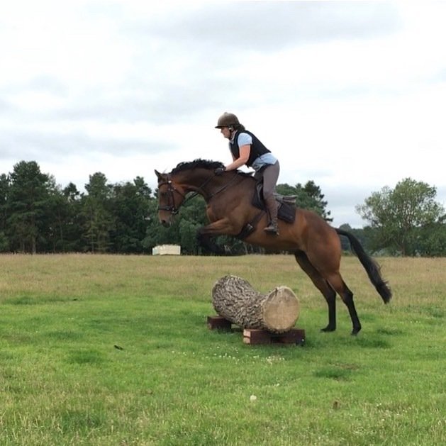 Cross Country and Show Jumping Hire