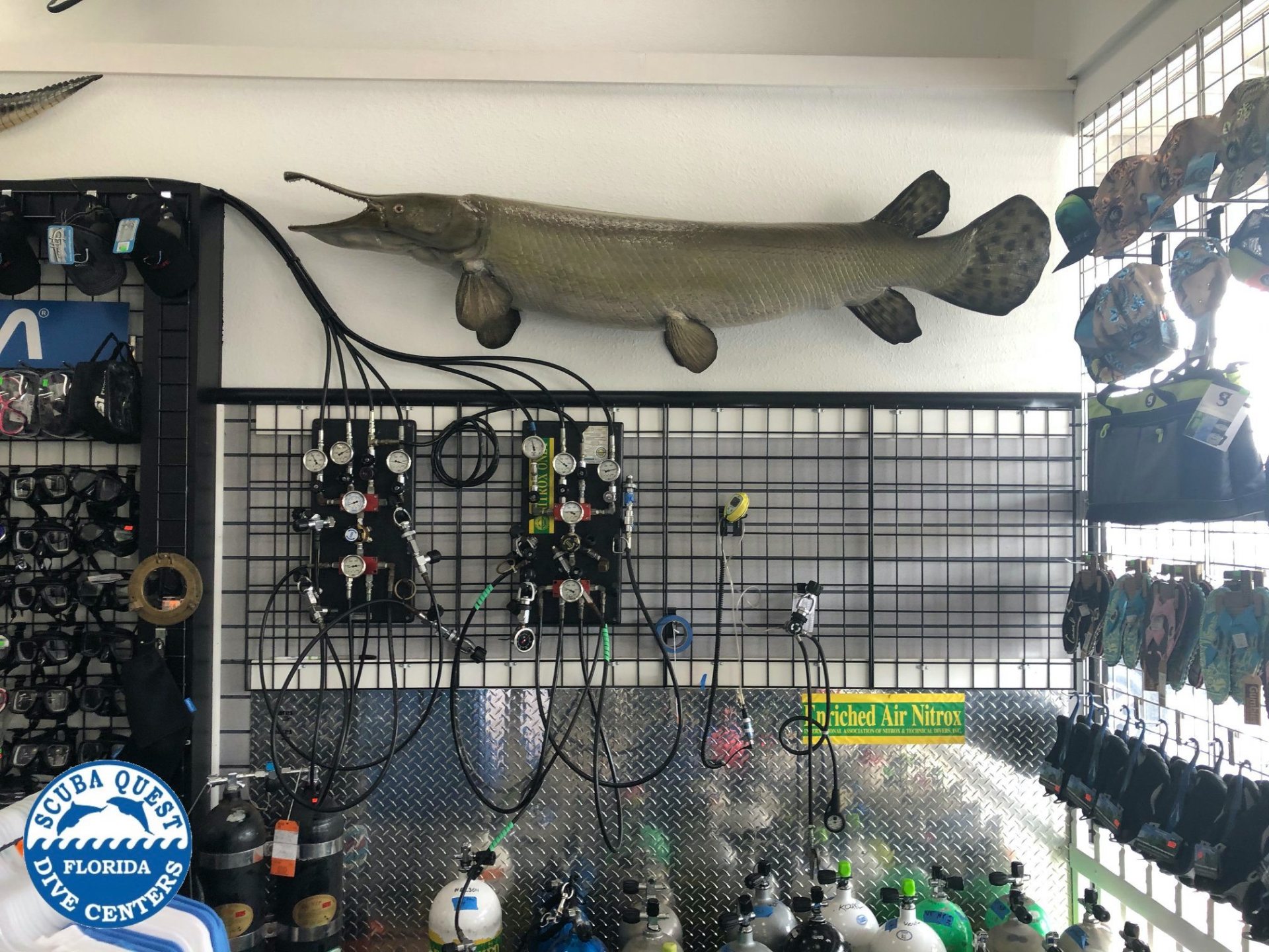 Scuba Quest Florida's Premier Full Service Dive Center