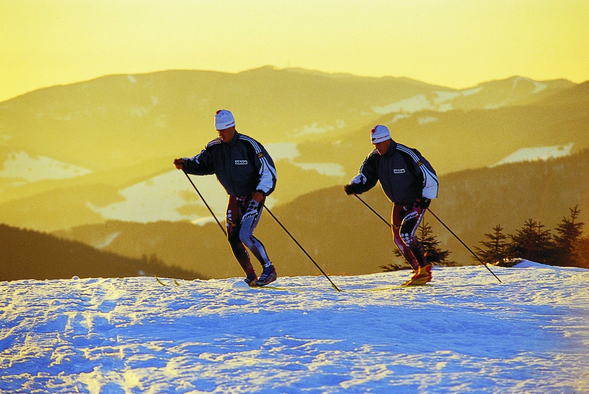 Singletrails im schwarzwald