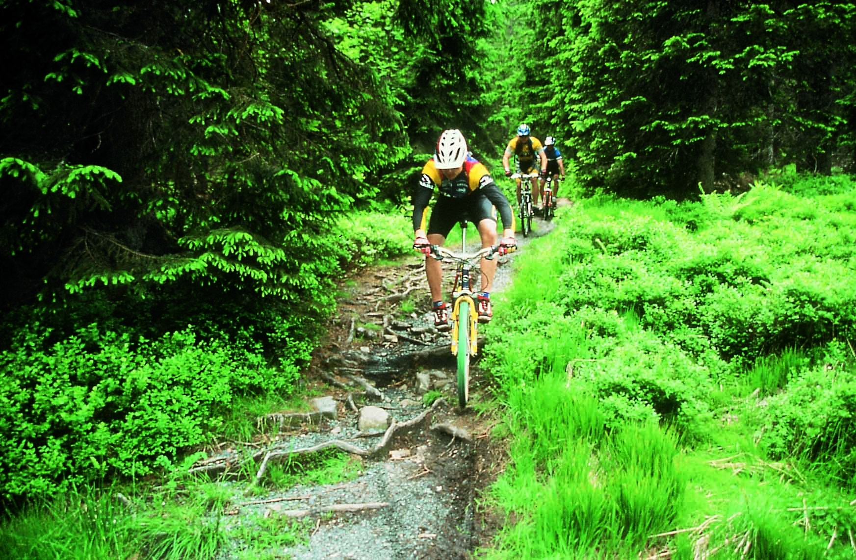 Singletrails im schwarzwald