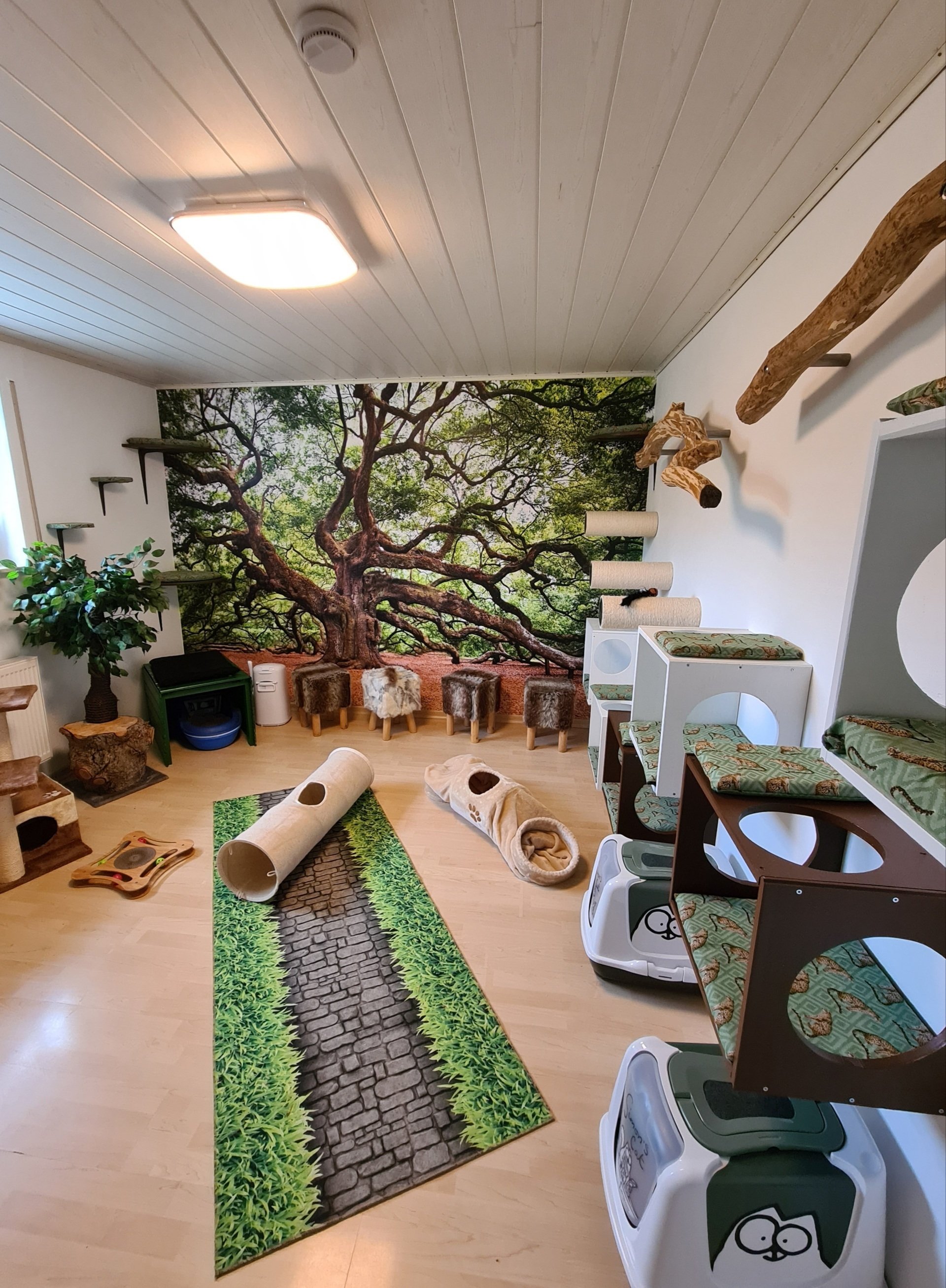 Katzenpension