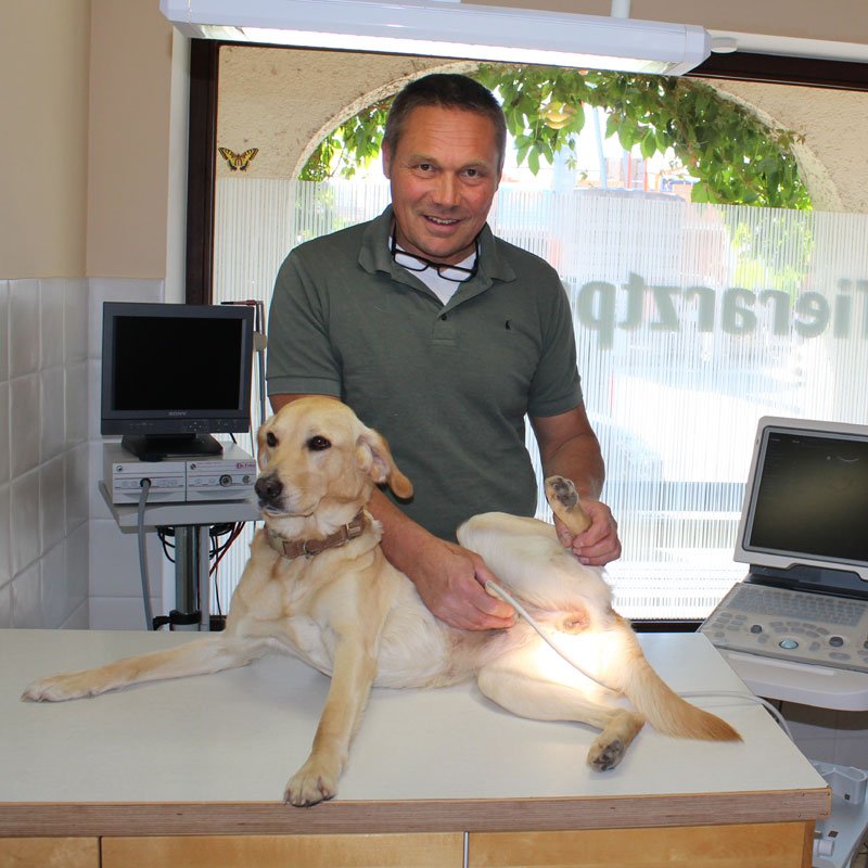 Tierärztliche Gemeinschaftspraxis Dr. Felix & Kim Wackermann In Heiligenhaus Tierärztliche Gemeinschaftspraxis Übersee, Johannes von Silva-Tarouca