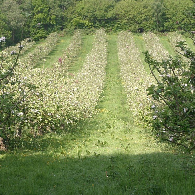 White Rocks Farm College, Sevenoaks, Kent | Vocational BTEC courses