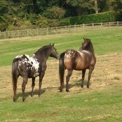 White Rocks Farm Riding Farm College Main Unit for Students With Additional Educationals Needs