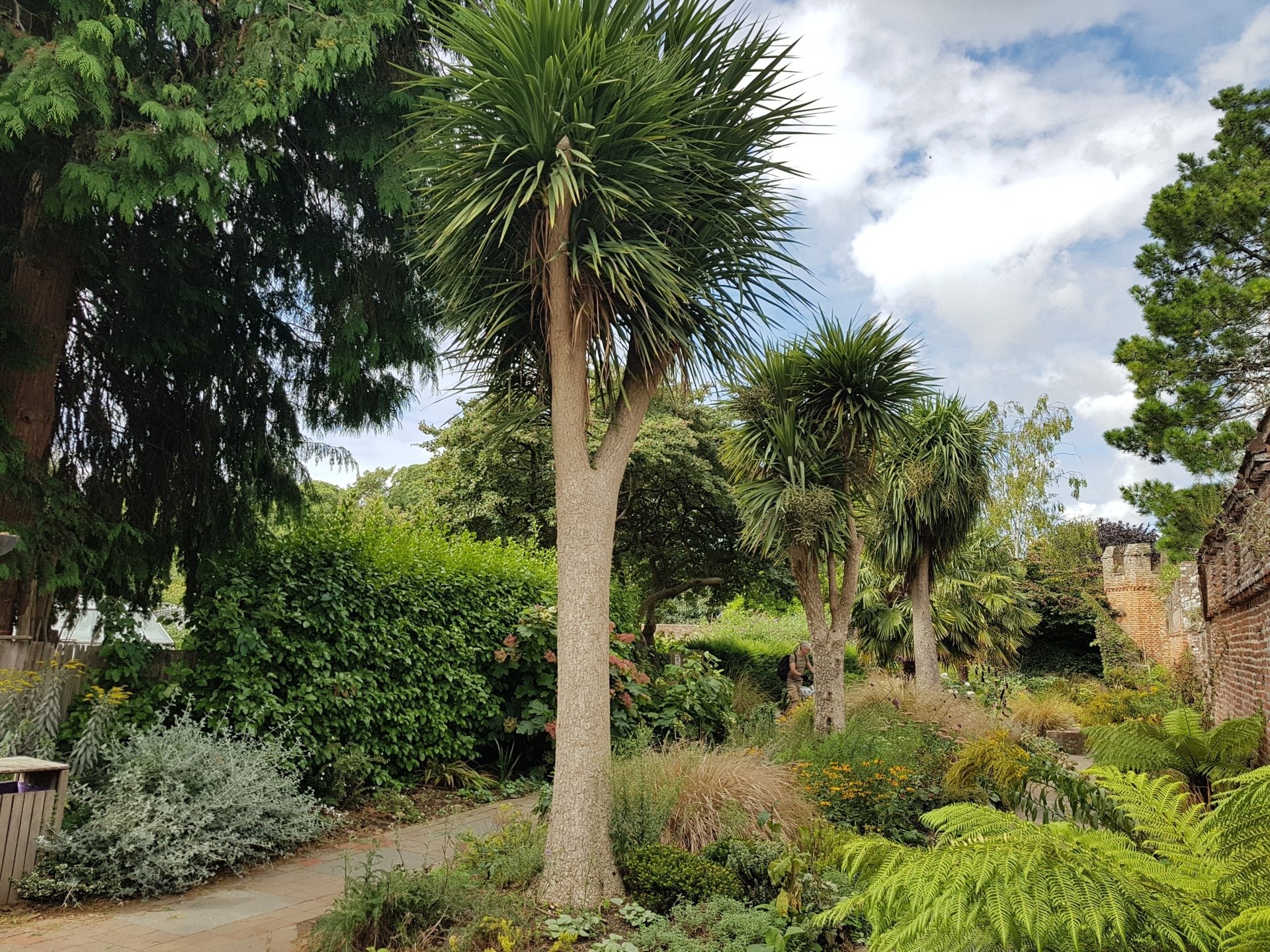 by Chichester Tree Wardens