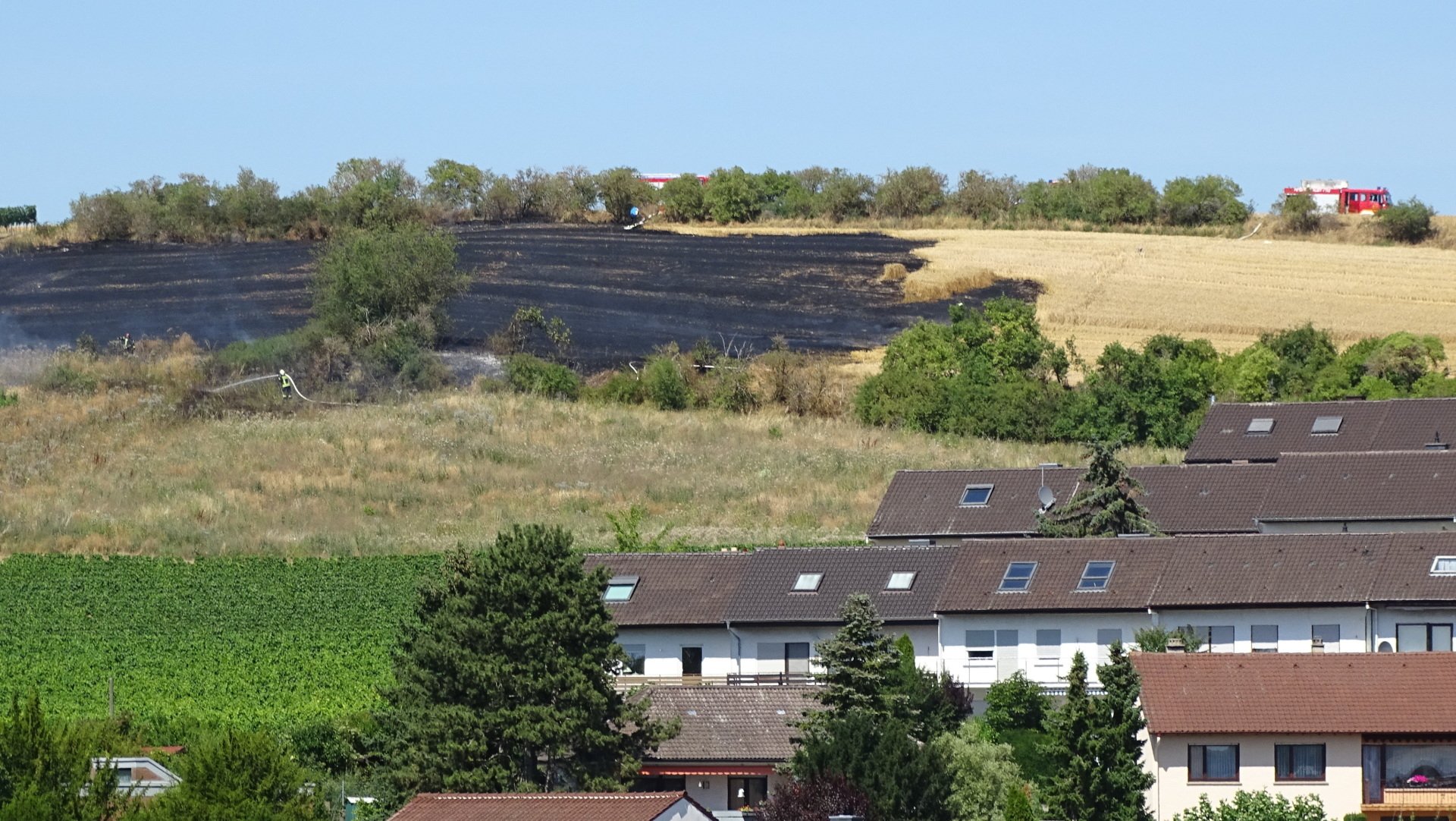 AlzeyHeimersheim Größeren Flächenbrand zwischen Alzey und Heimersheim