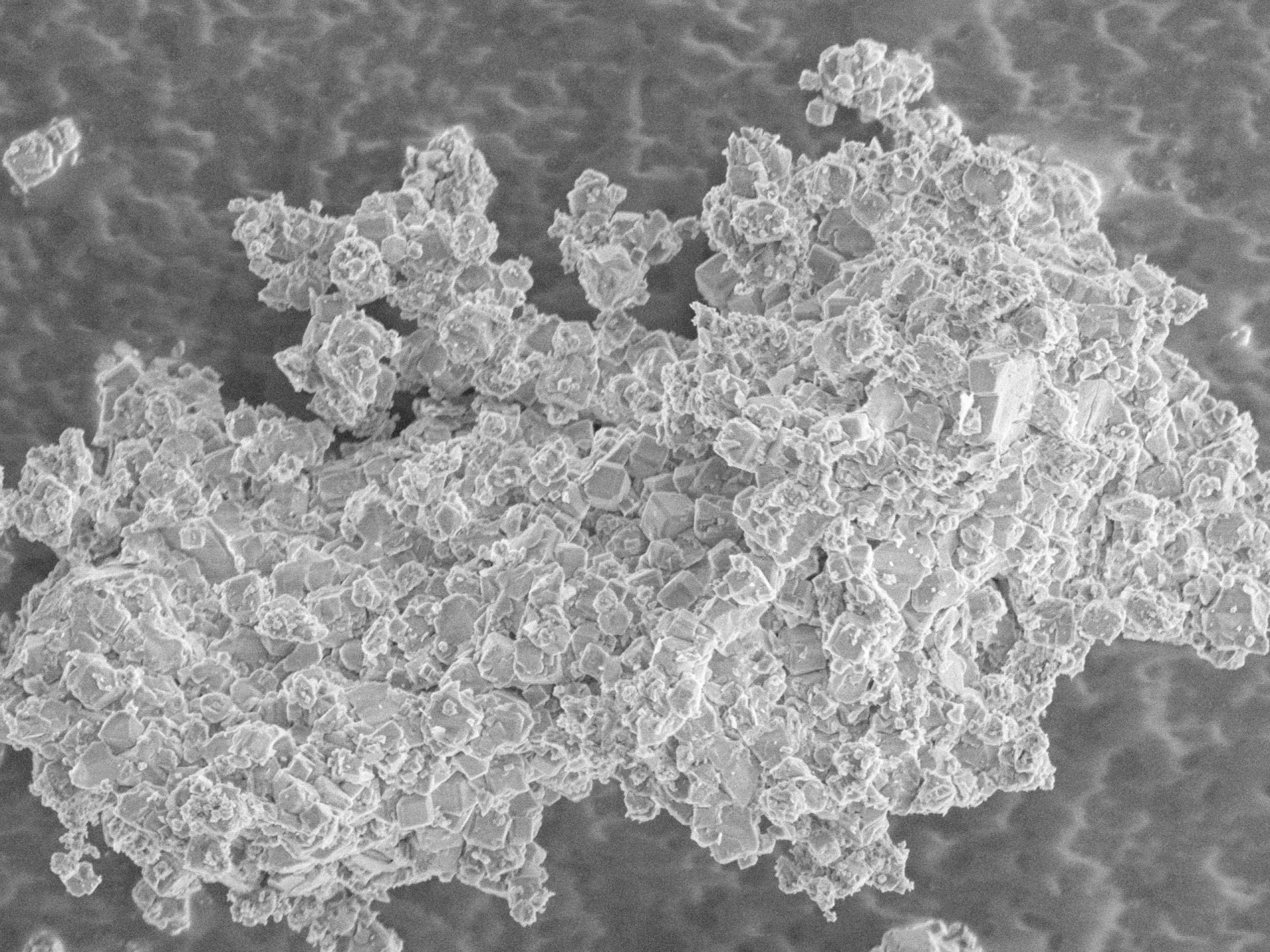 Rasterelektronenmikroskop