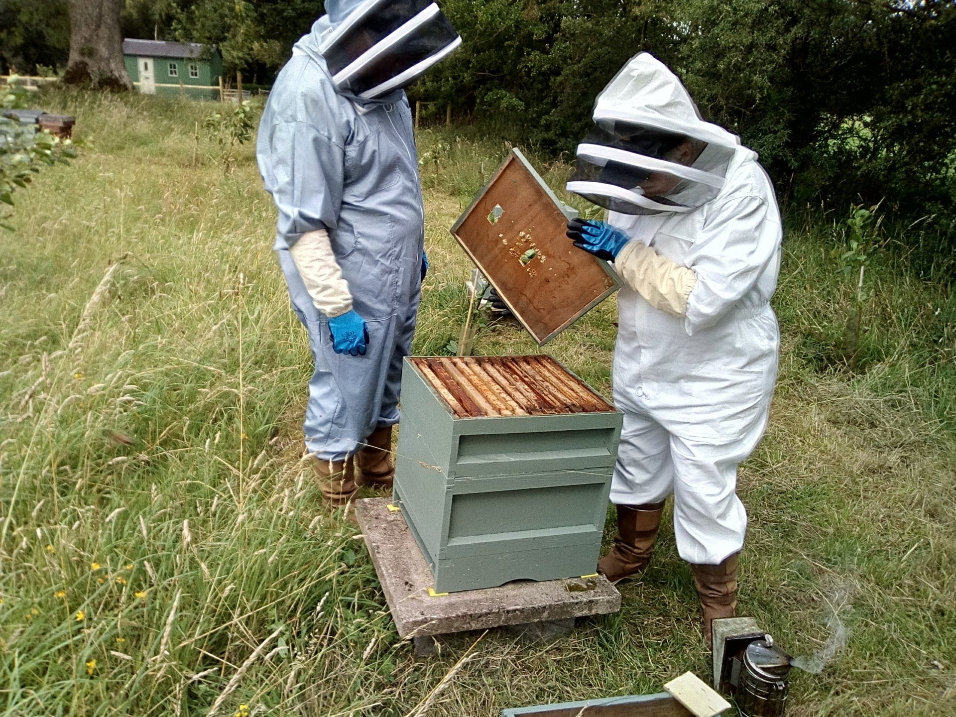 Bespoke beginner's beekeeping training course at Anglesey Bees