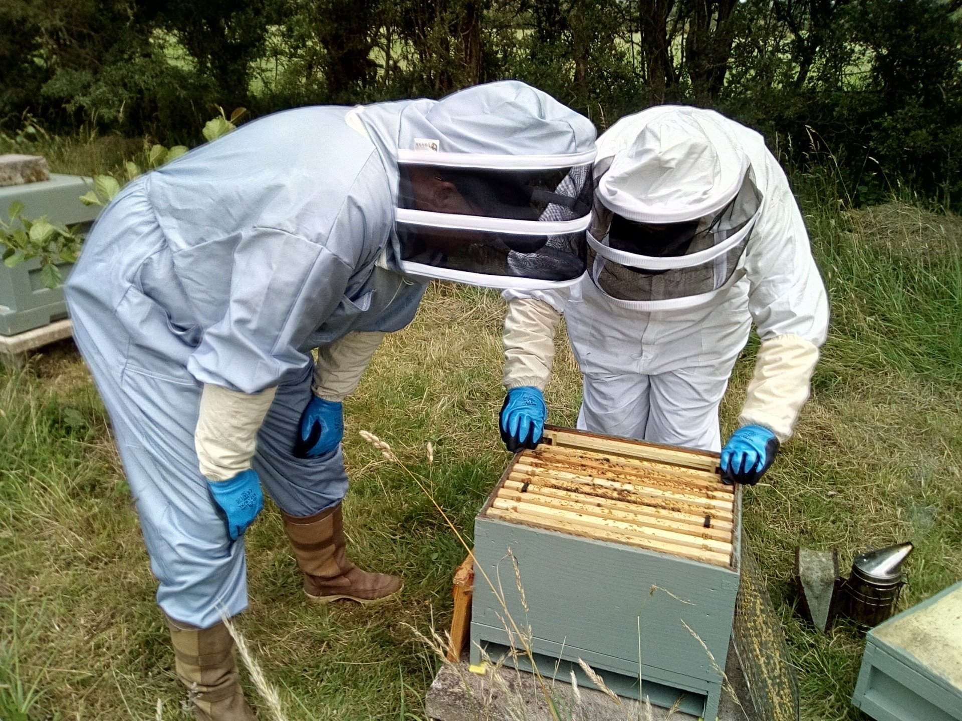 Bespoke beekeeping experience or gift experience at Anglesey Bees