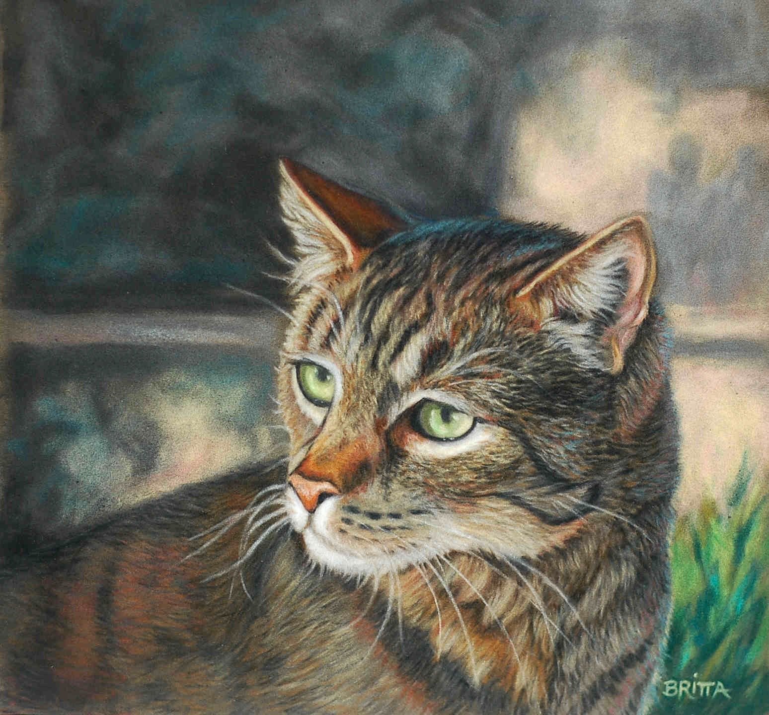 Animals and Wildlife