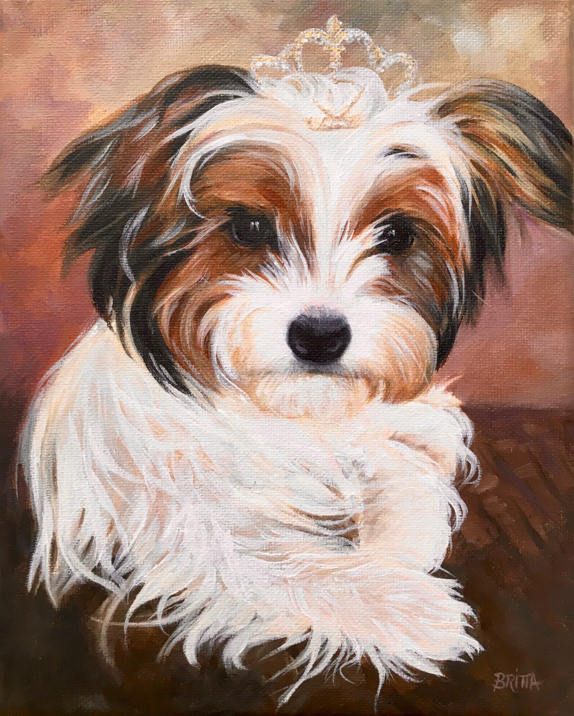 Animals and Wildlife