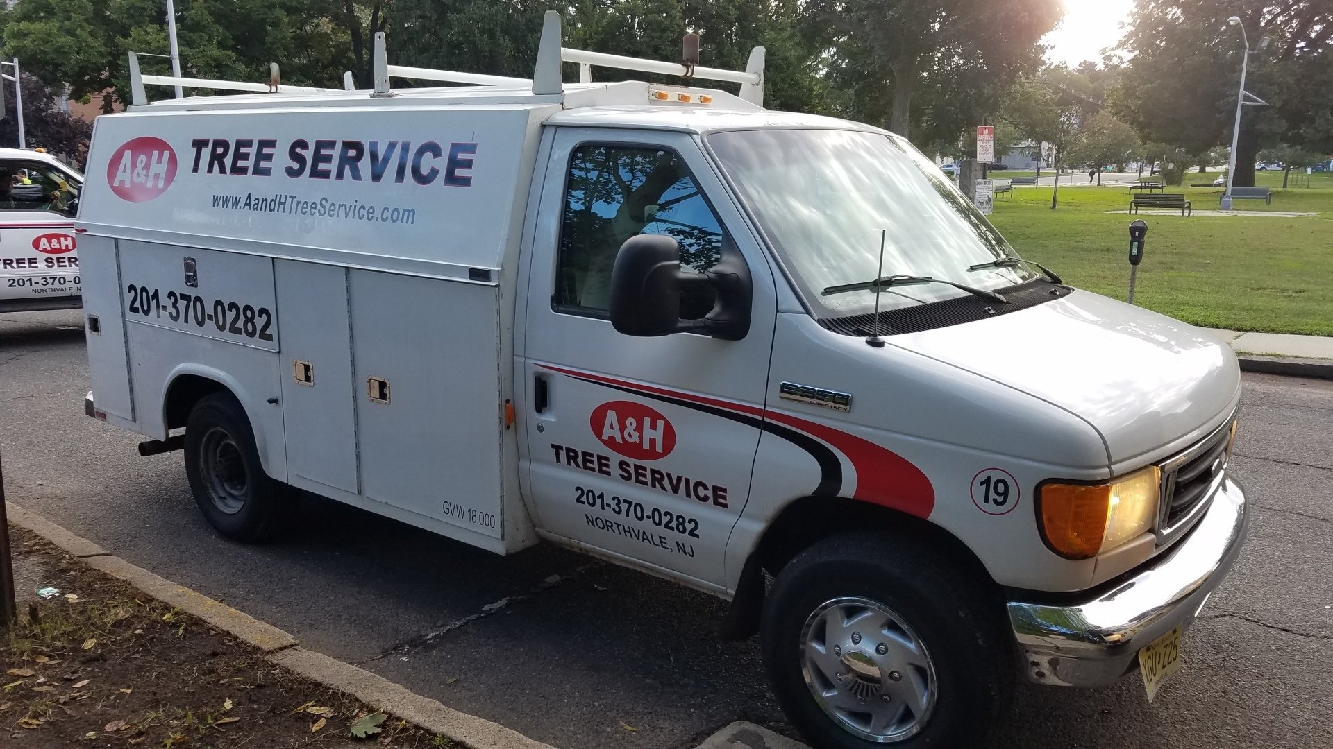 Large Tree Removal Services | A&H Tree Service | Northern New Jersey - Tree Relocation Cost Nj