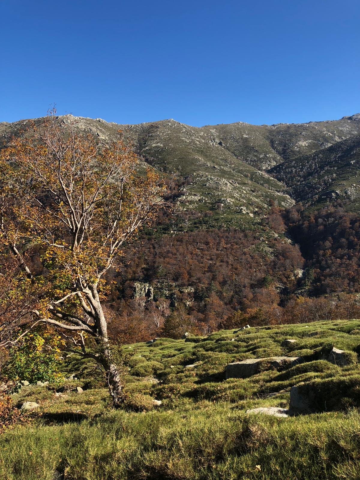 Bergerie de Basseta sur le GR20, Hébergement, Restaurant et boutique