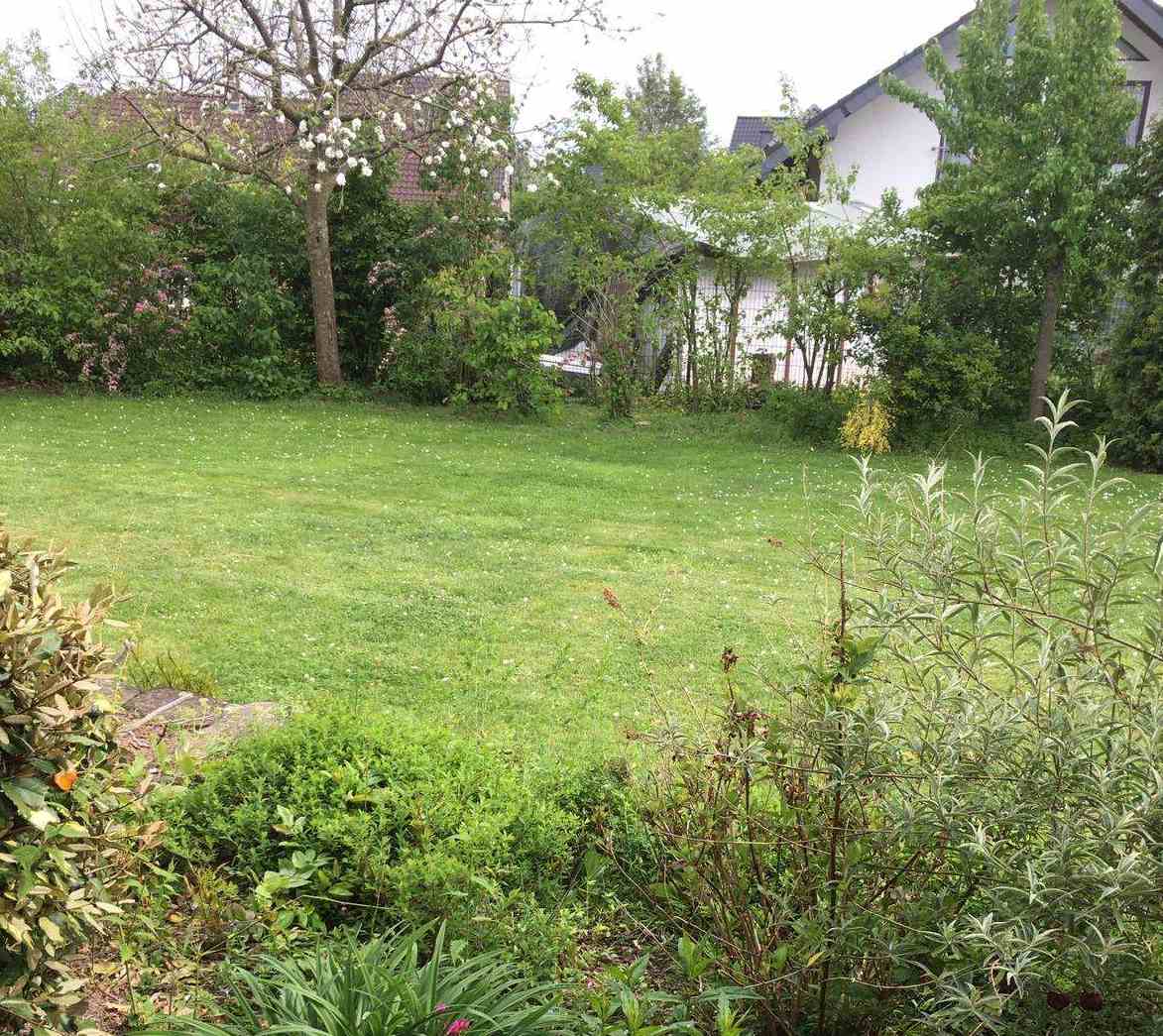 Gartengestaltung nach ökologischen Gesichtspunkten