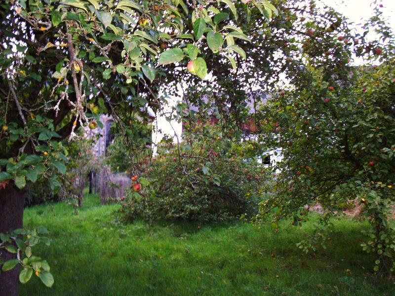 Infostunden und Kräuterspaziergänge