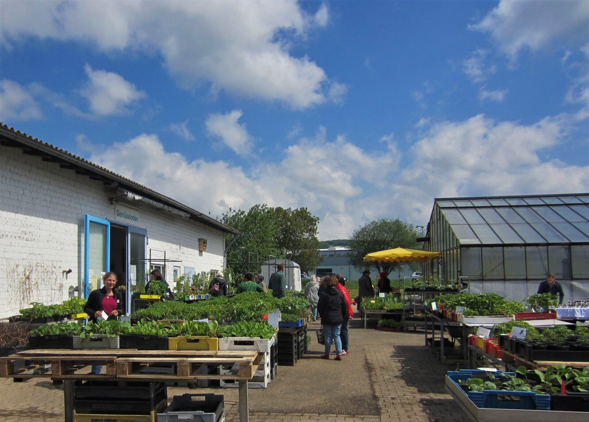 Bio Gärtnerei mit Bio Gemüse, Bio Pflanzen, Bio Kräuter , Bio Saatgut