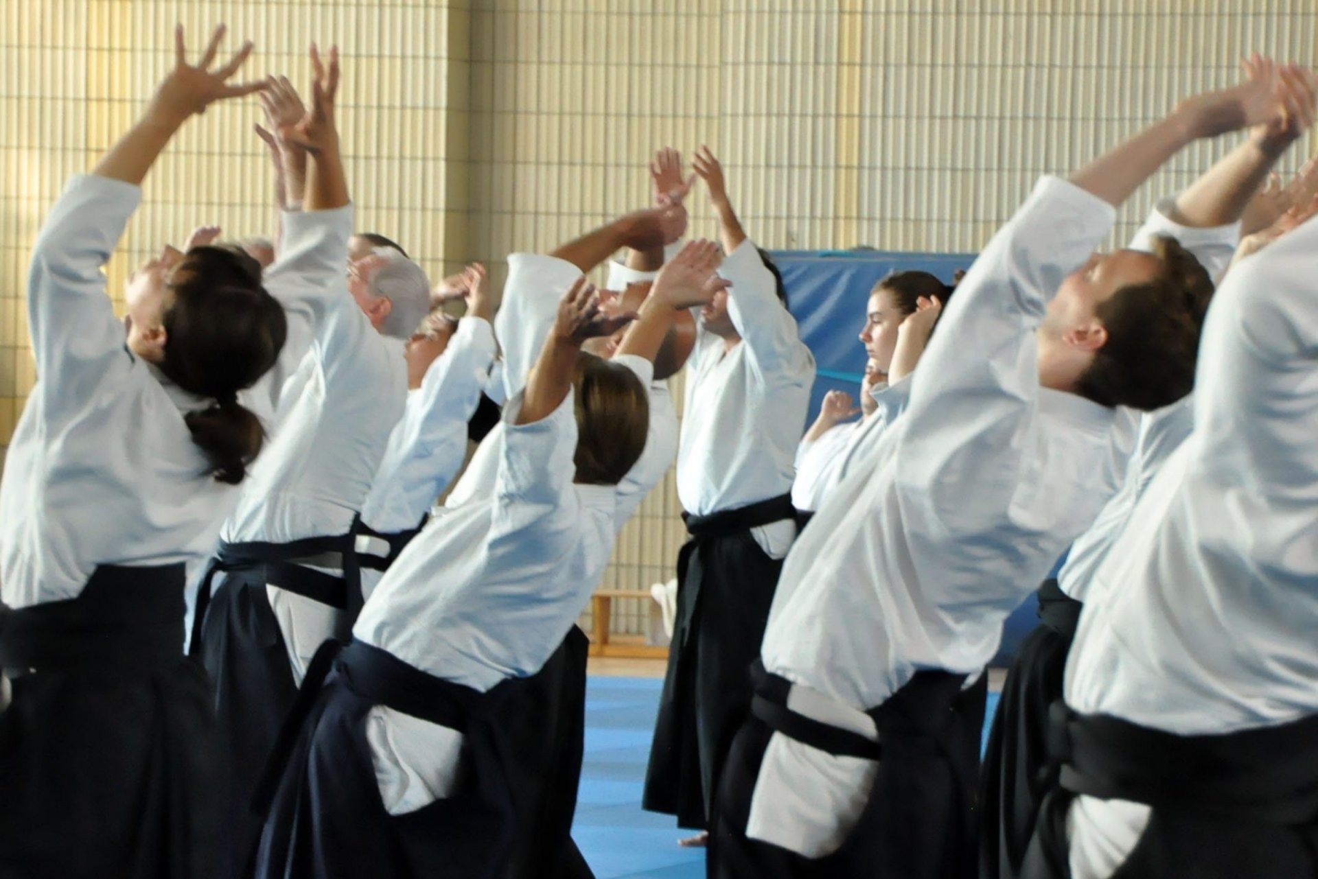 Aikido Summer Berlin