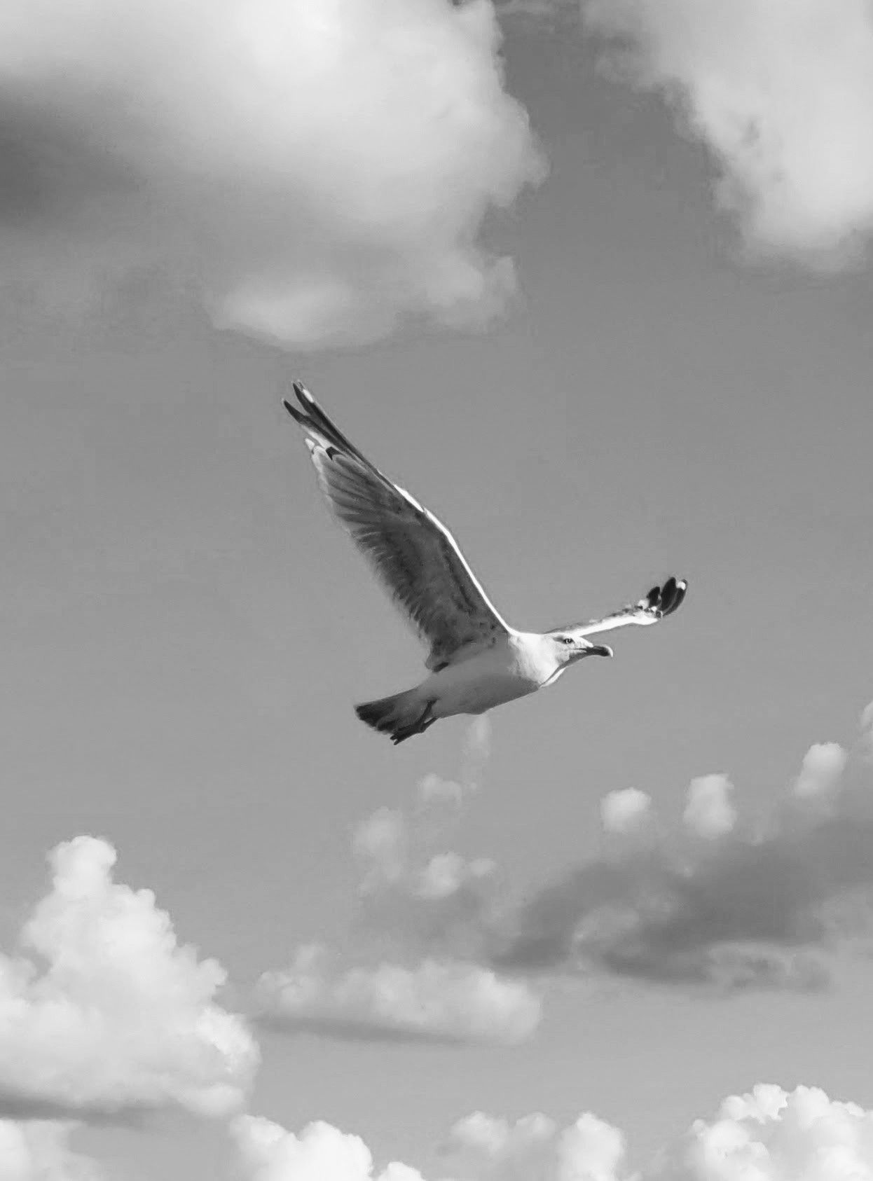 Home [www.leonastark.de]