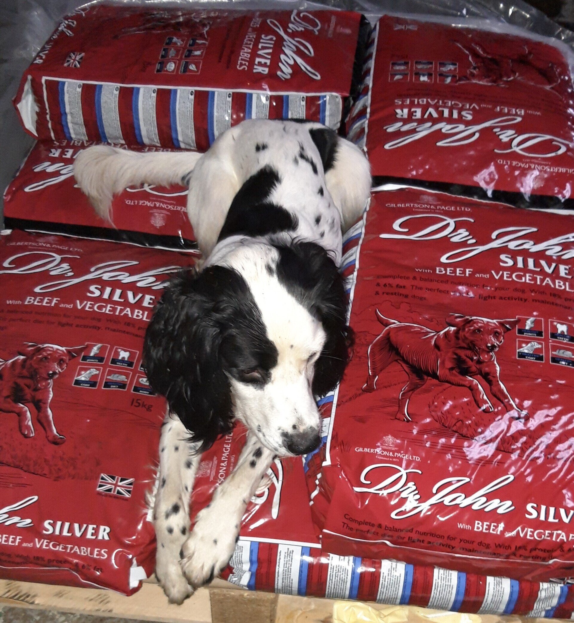 SecondHand Agriculture Equipment Northallerton