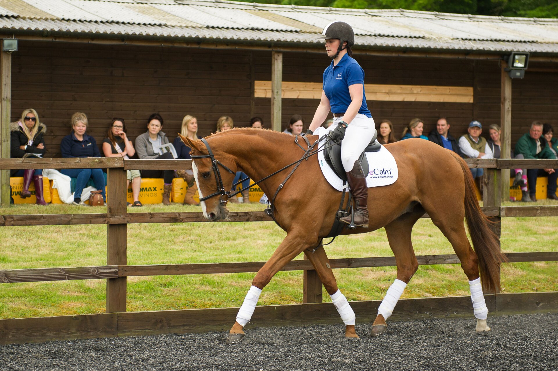 Moorcroft Equine Rehabilitation Centre BHS Approved Centre