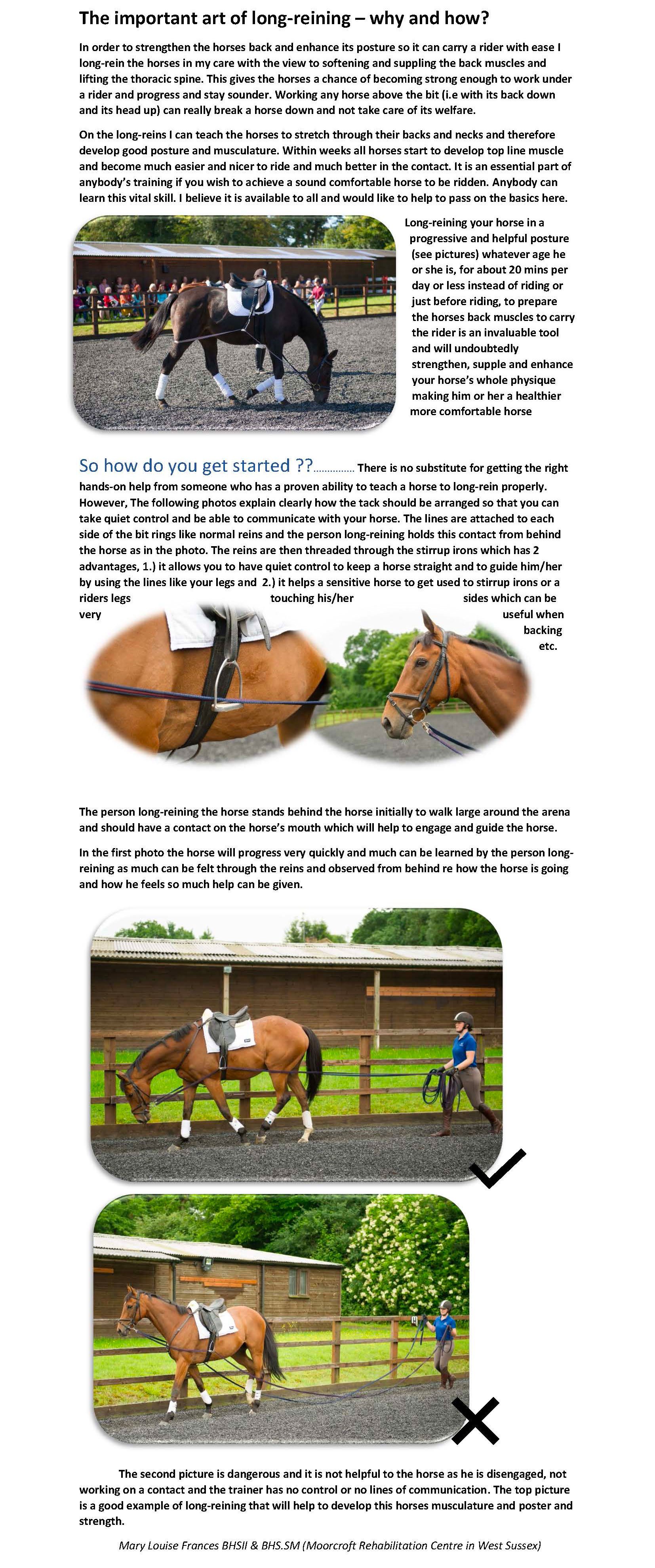 Art of Long Reining Moorcroft Equine Rehabilitation Centre