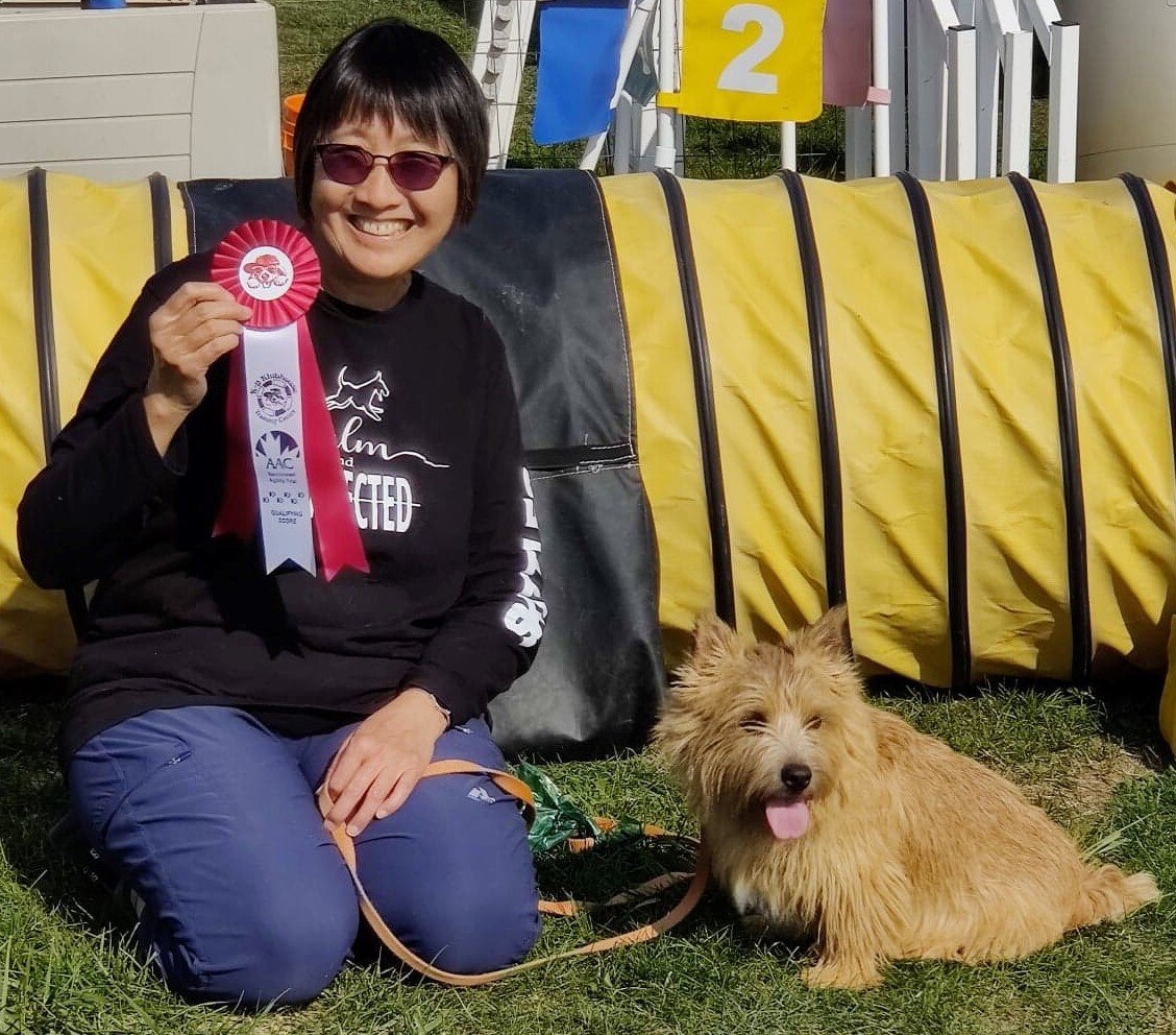 Dog Training in Etobicoke & Mississauga