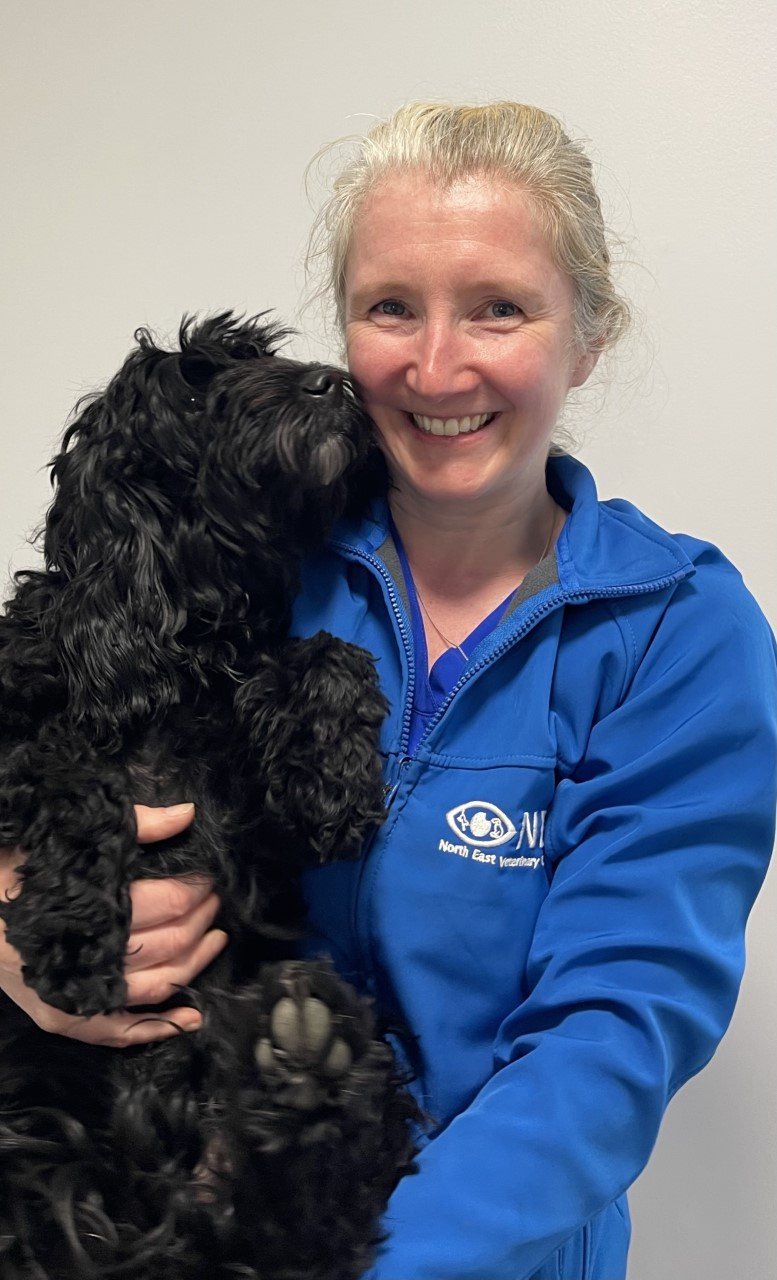 North East Veterinary Ophthalmology | Meet the Team