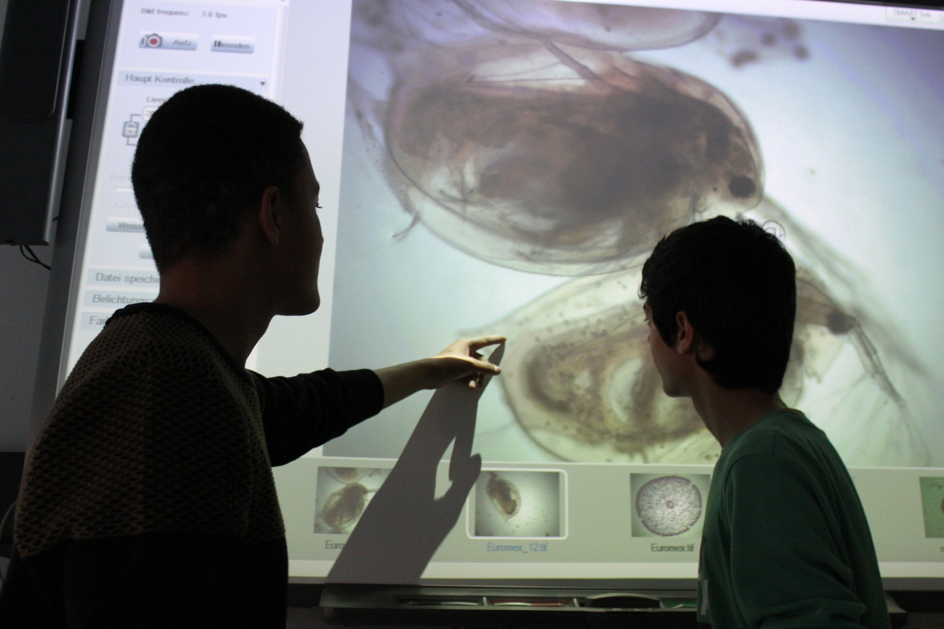 Sekundarschule am Schillerpark