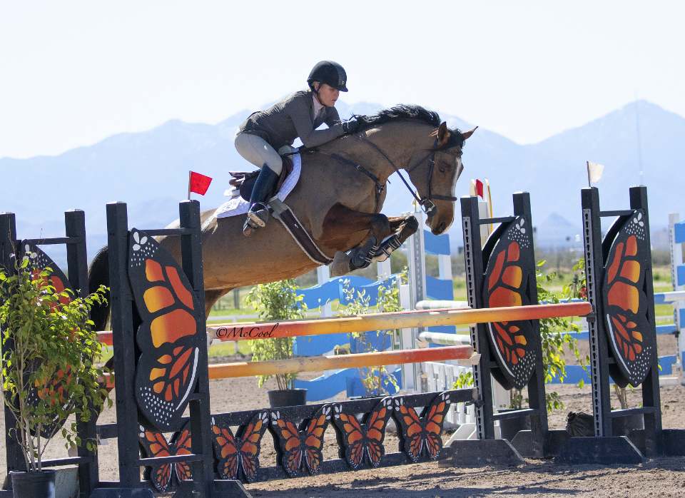 Phoenix Rider Stable Phoenix Equestrian Center