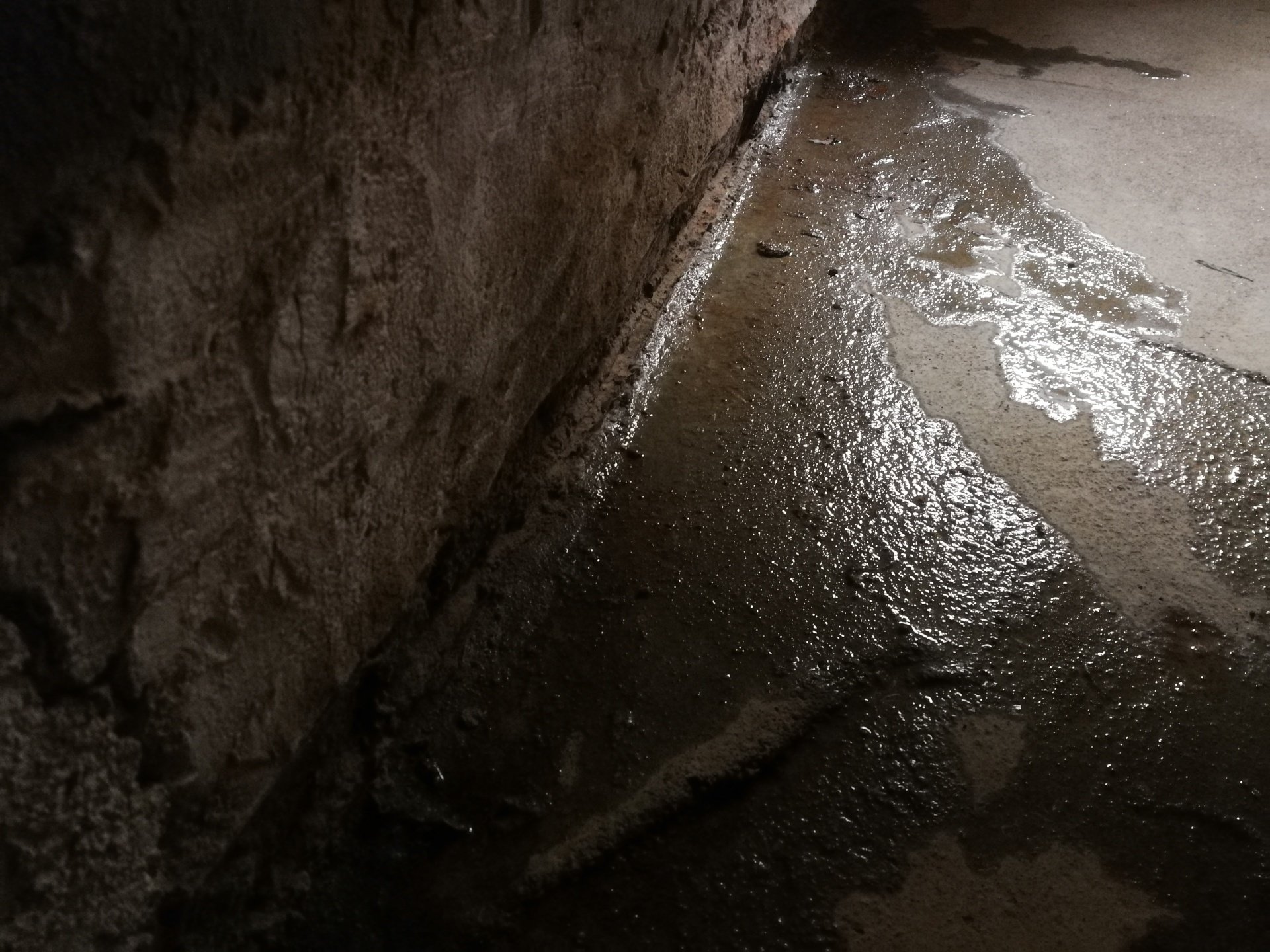 Feuchte Wände abdichten, Feuchtigkeit beseitigen.