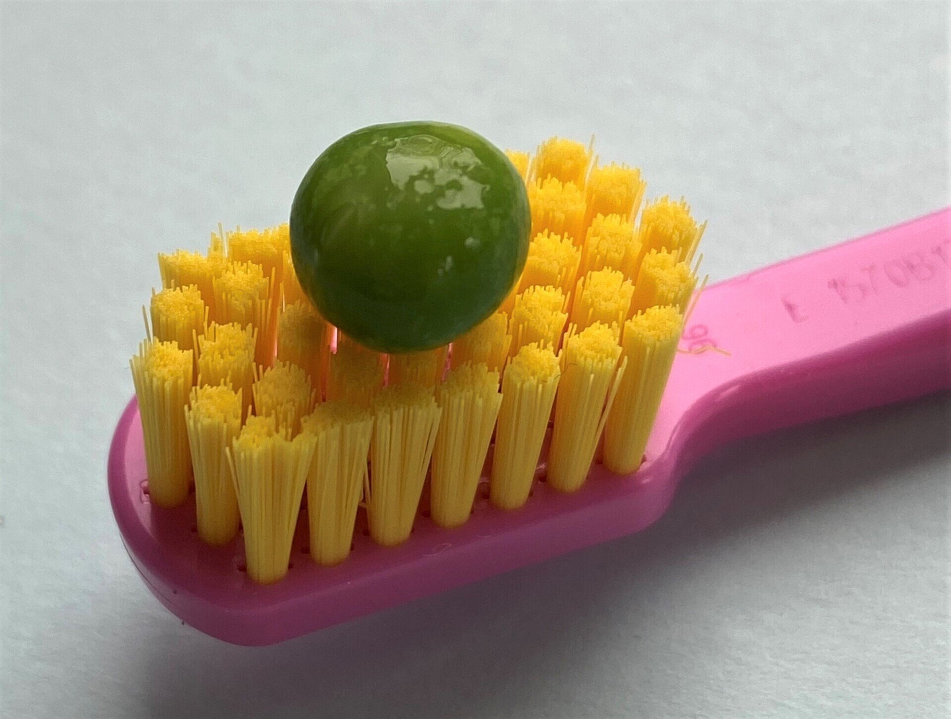 Praxis für Zahnerhaltung Witzenhausen Dres. Flechsig