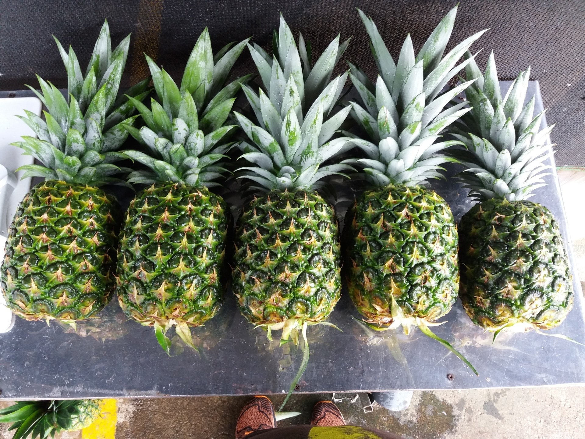 Piña Fresca Tropical